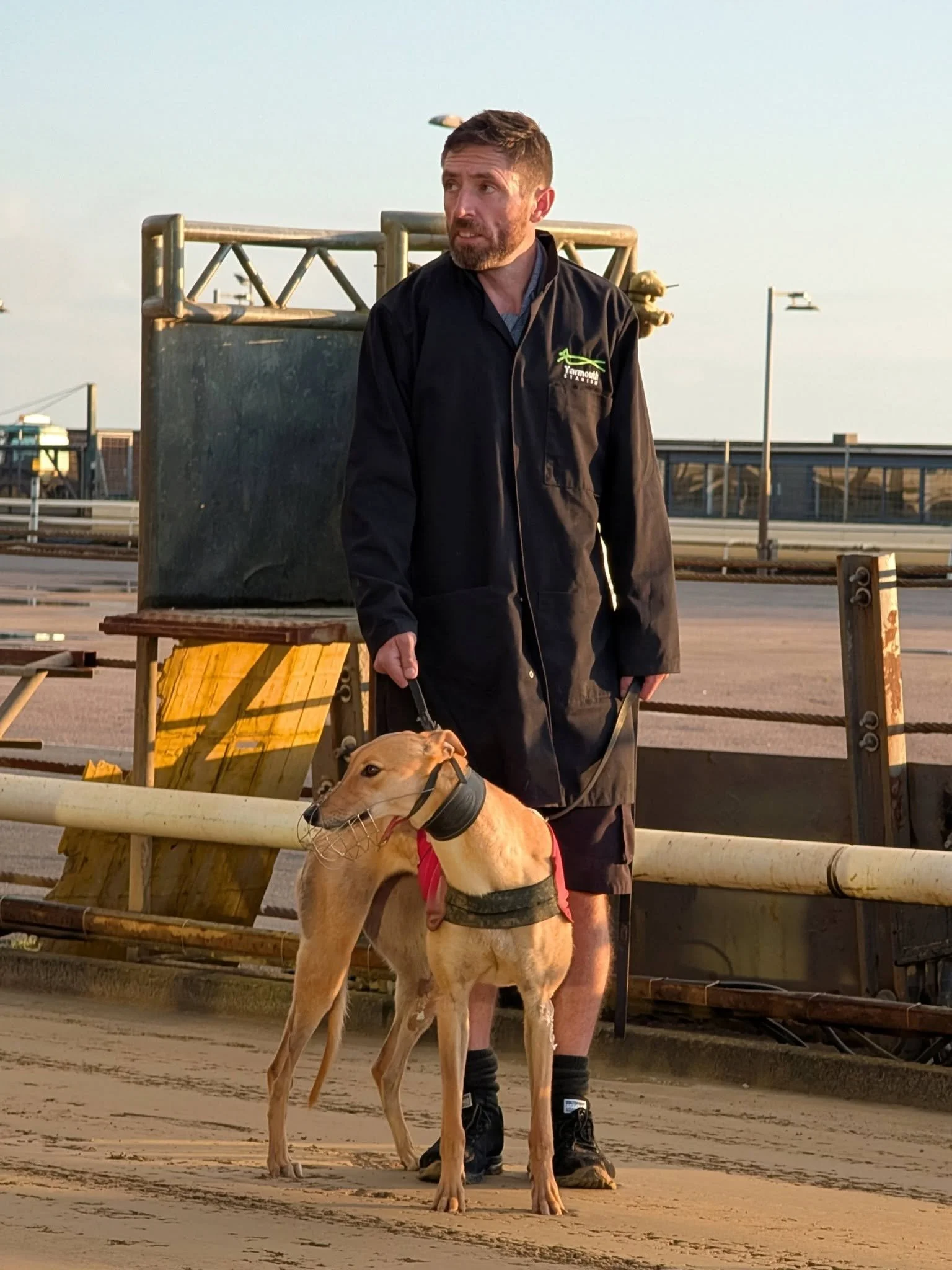 A man walking a greyhound dog at a racetrack or training area during sunset, with a fence and some structures in the background.