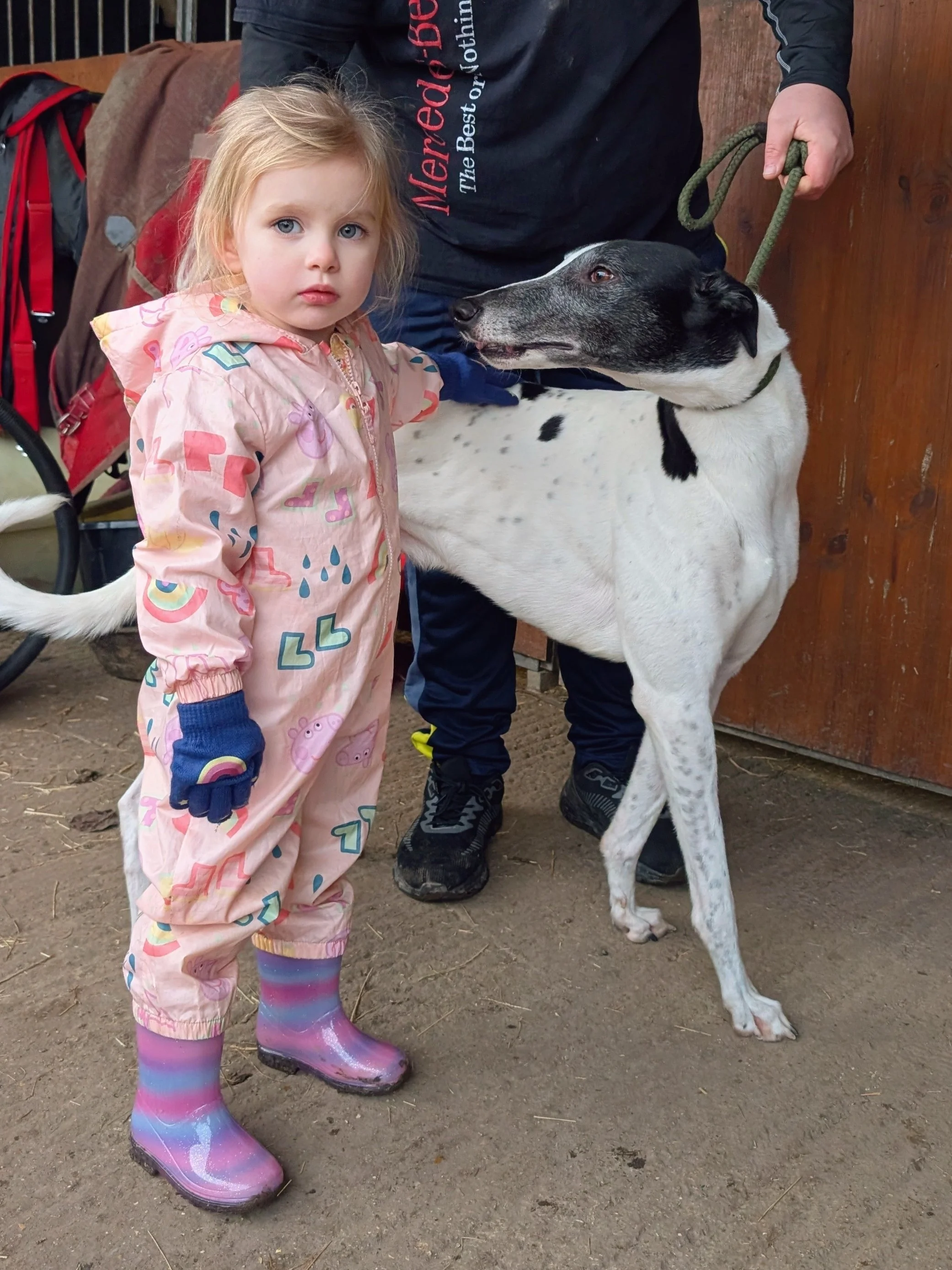 A young girl wearing a pink raincoat with colorful hearts and rainbows, rainbow rain boots, and dark gloves, stands next to a black and white dog with a person holding its leash. The girl has blonde hair and blue eyes, and is looking at the camera wi