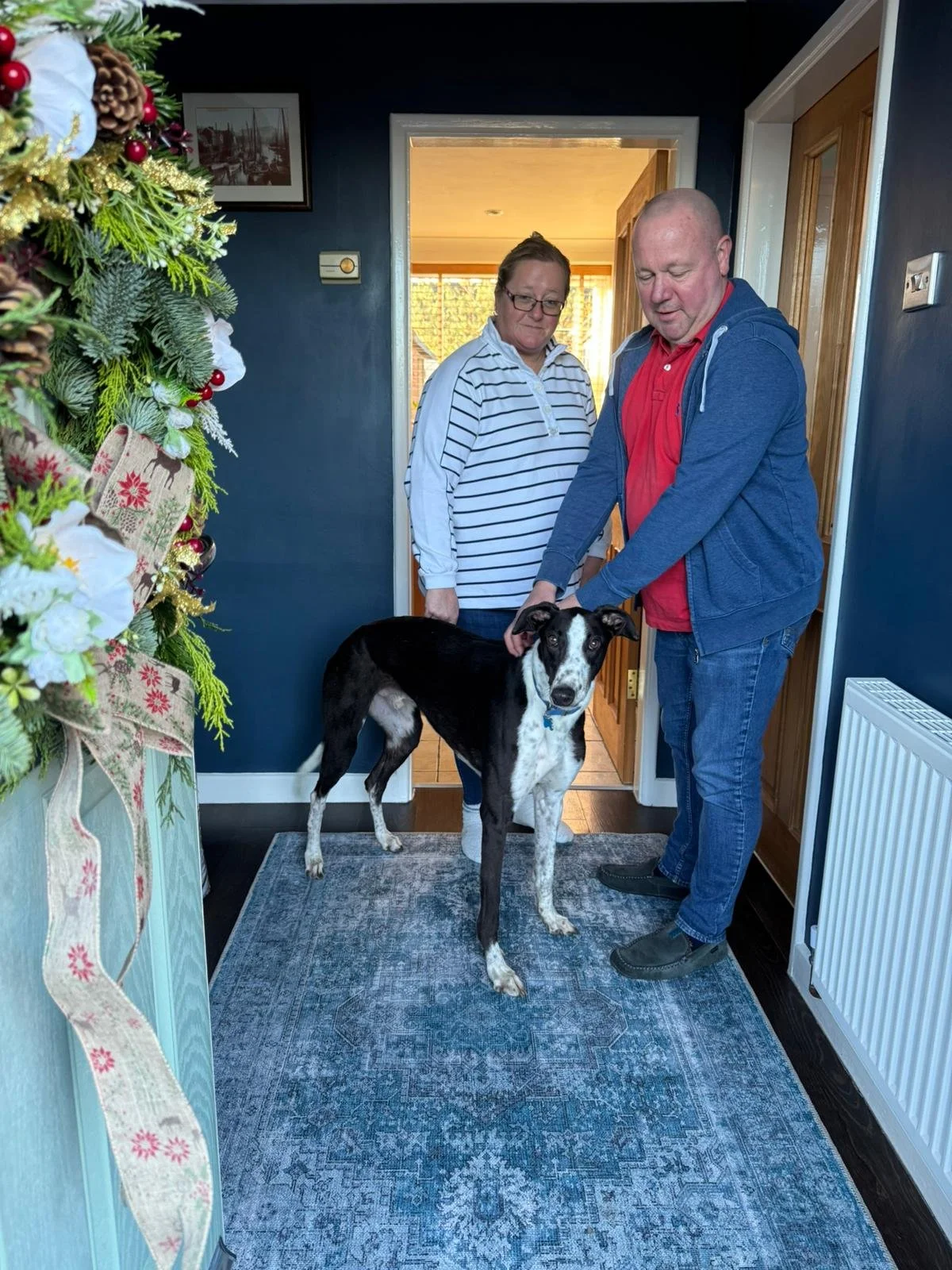 Norman (Farneys North)