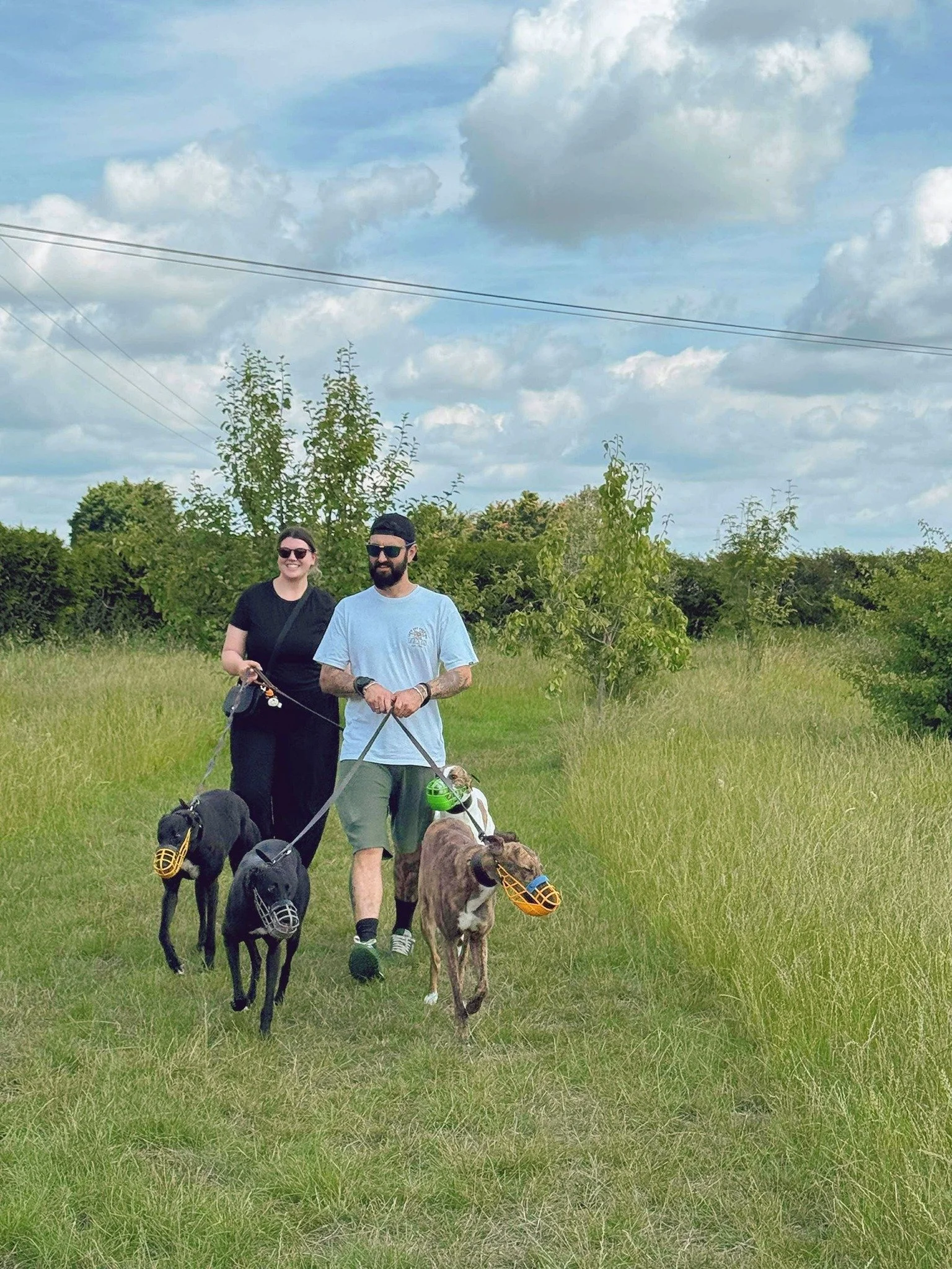 Two people walking on a grassy trail with three dogs, each wearing a muzzle, in a green outdoor setting under a cloudy sky.