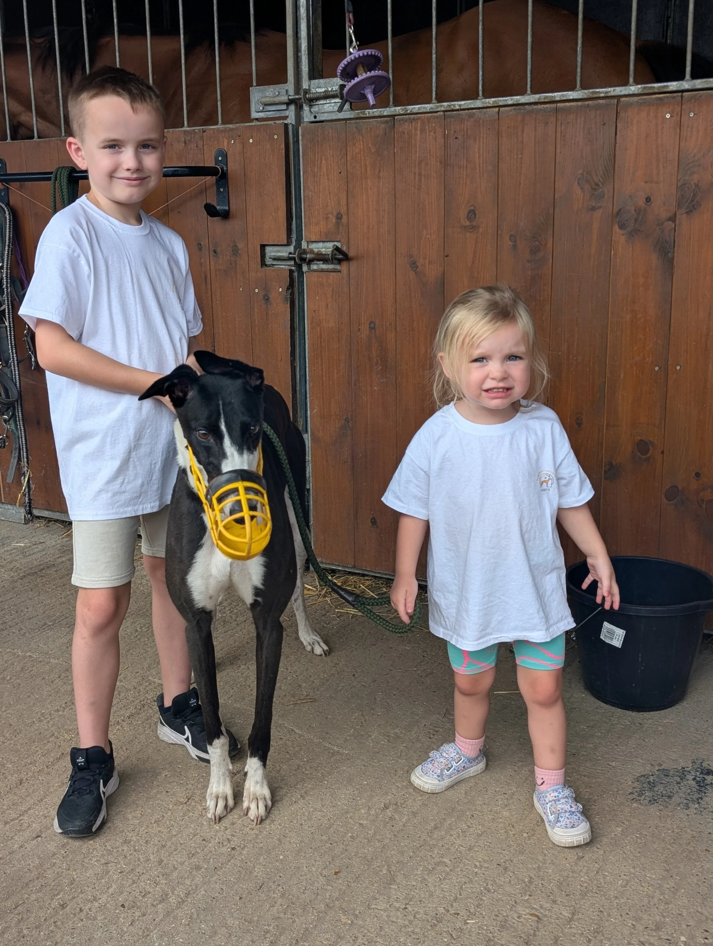 Two children, a boy and a girl, standing next to a black and white dog with a yellow muzzle in a stable. The boy is holding the dog, and the girl appears unsure or uncomfortable. The stable has wooden walls and metal bars, with horses visible behind