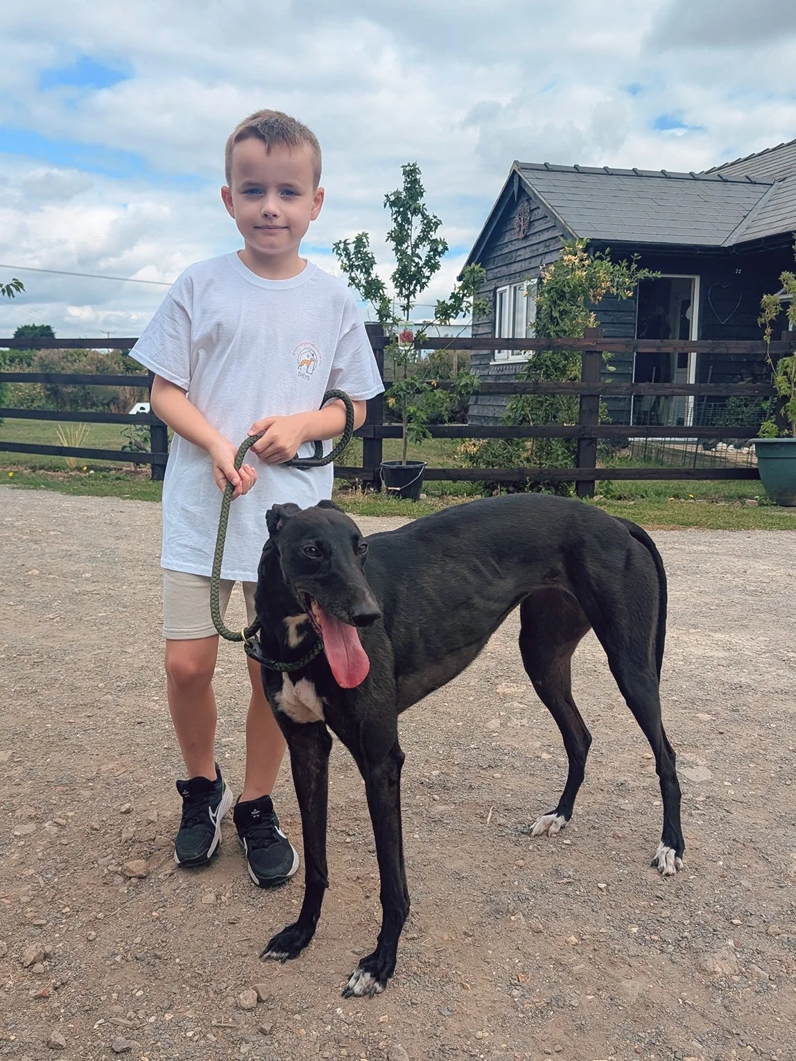 A young boy in a white t-shirt and beige shorts standing outdoors on a gravel surface, holding a leash attached to a tall black Greyhound dog with a white patch on its chest, panting with its tongue out. There is a black wooden house and some small t