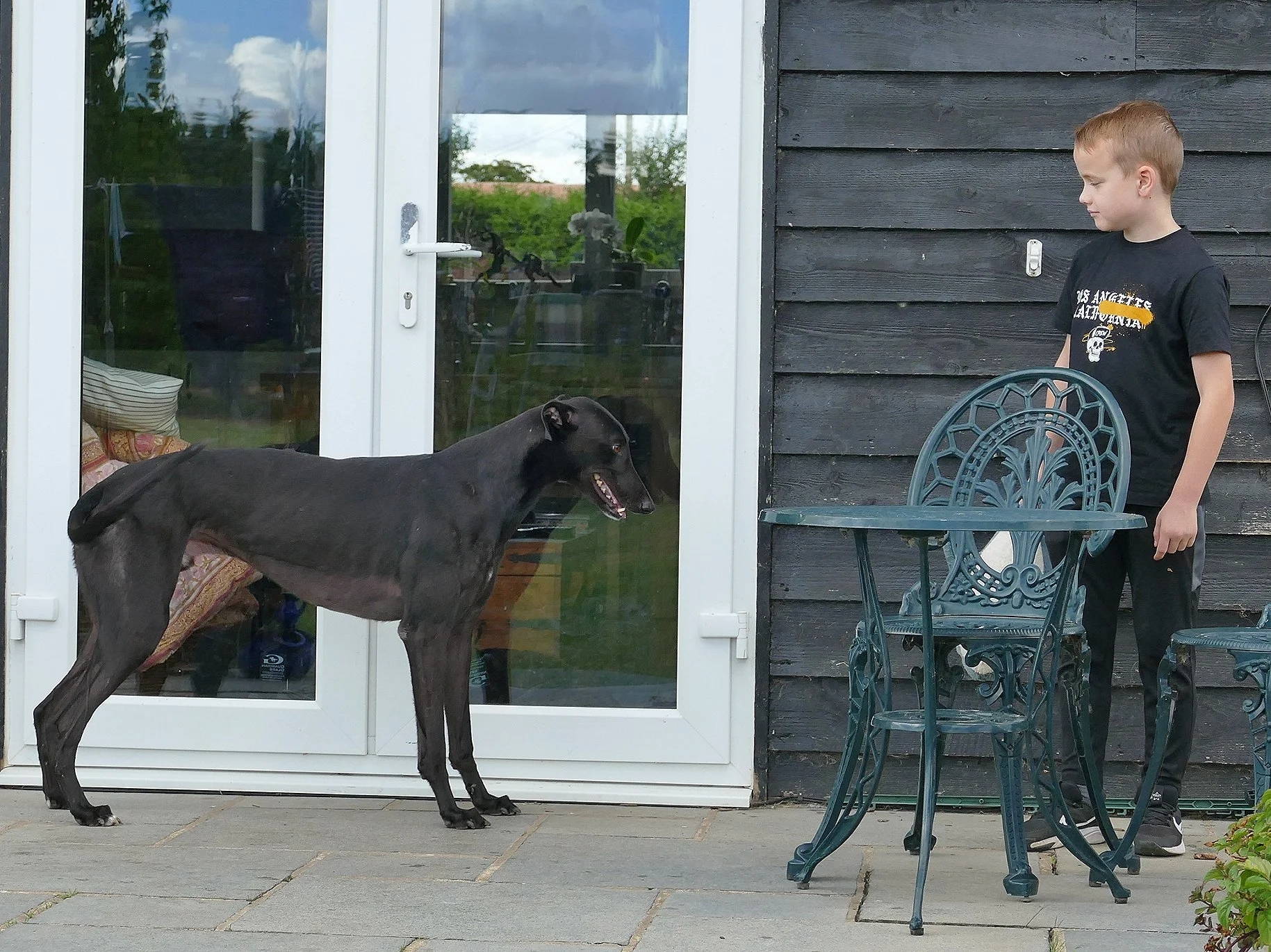 A boy with light brown hair wearing a black t-shirt and black pants stands outside a black wooden building near a metal table and chairs. A large black dog stands on the patio facing the boy, near a glass door with a white frame. The dog appears to b