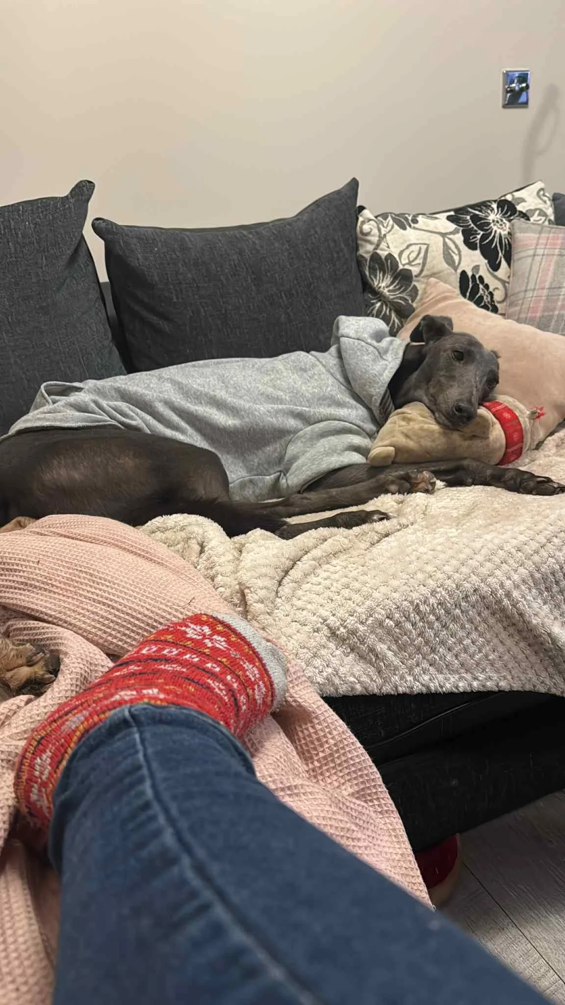 Mollie (Last Dance Molly)