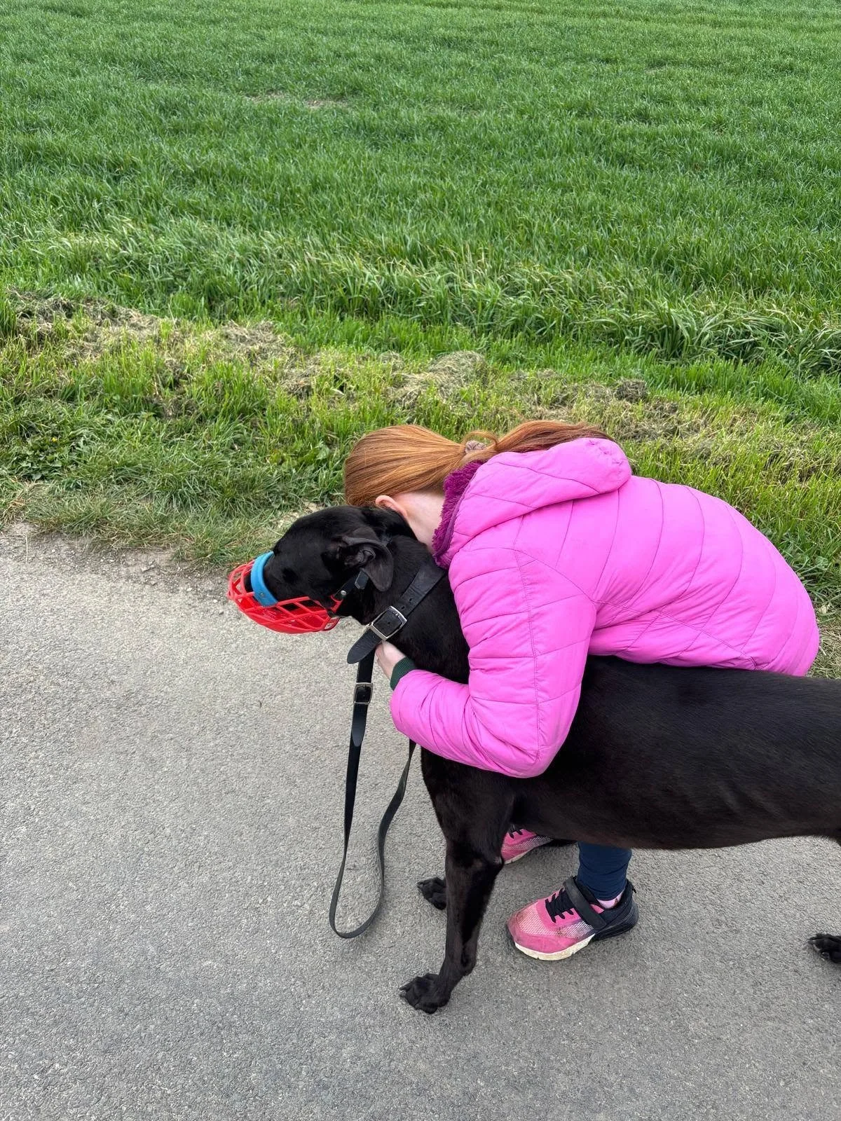 A person wearing a pink jacket hugging a black dog with a red muzzle on a leash on a paved path next to green grass.