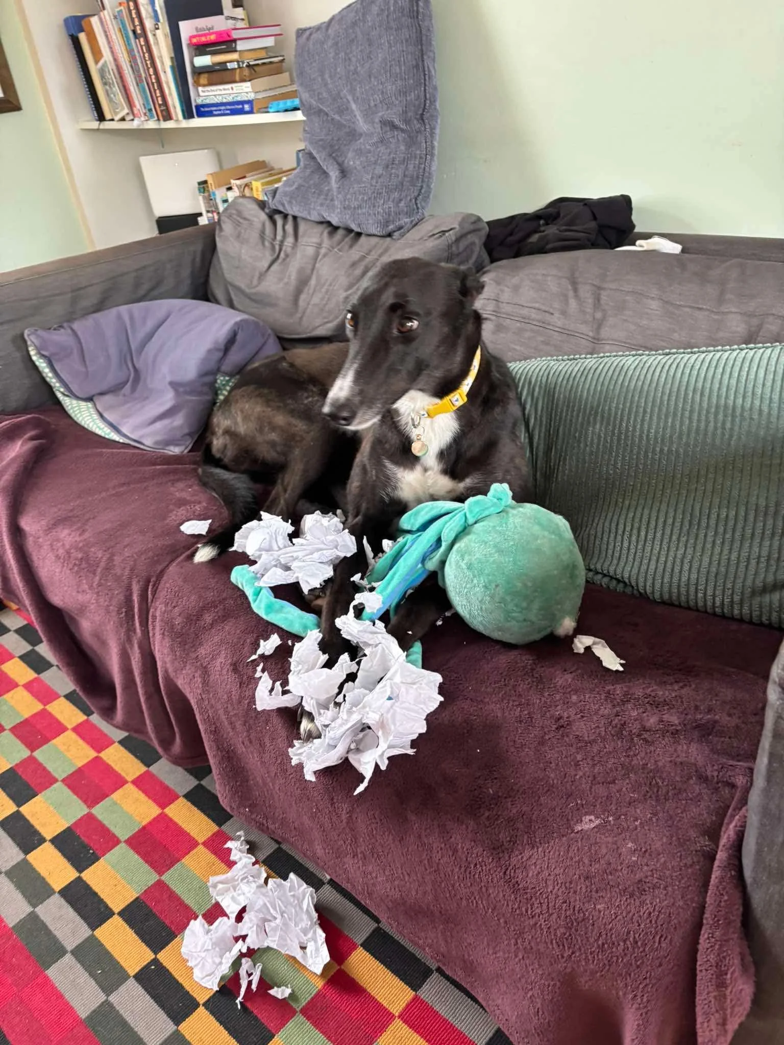 Stella (Smiley Girl)