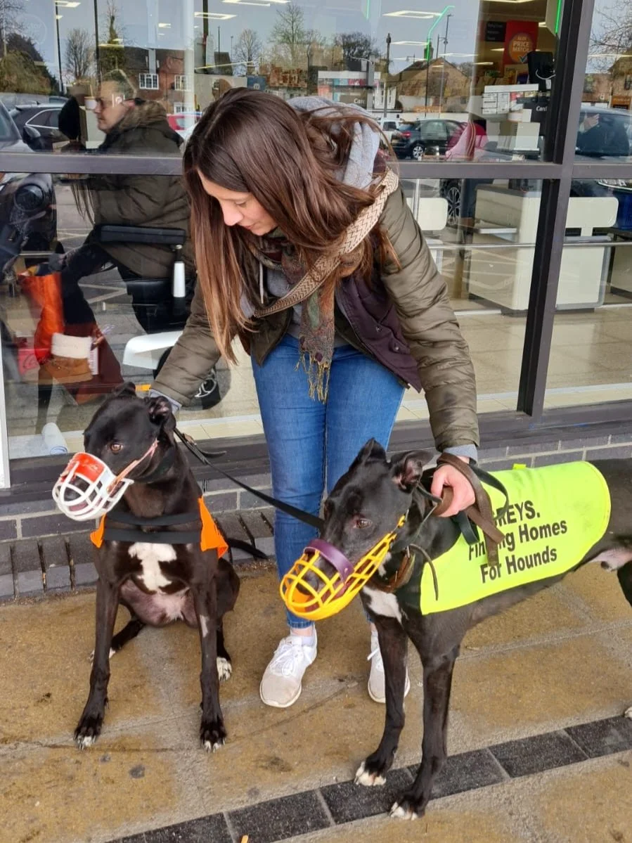 A woman with brown hair wearing a green jacket, gray hoodie, blue jeans, and white sneakers is standing outside a store with two black greyhound dogs. One dog has a bubble mask over its snout, and the other has a yellow mask. The dog with the yellow 