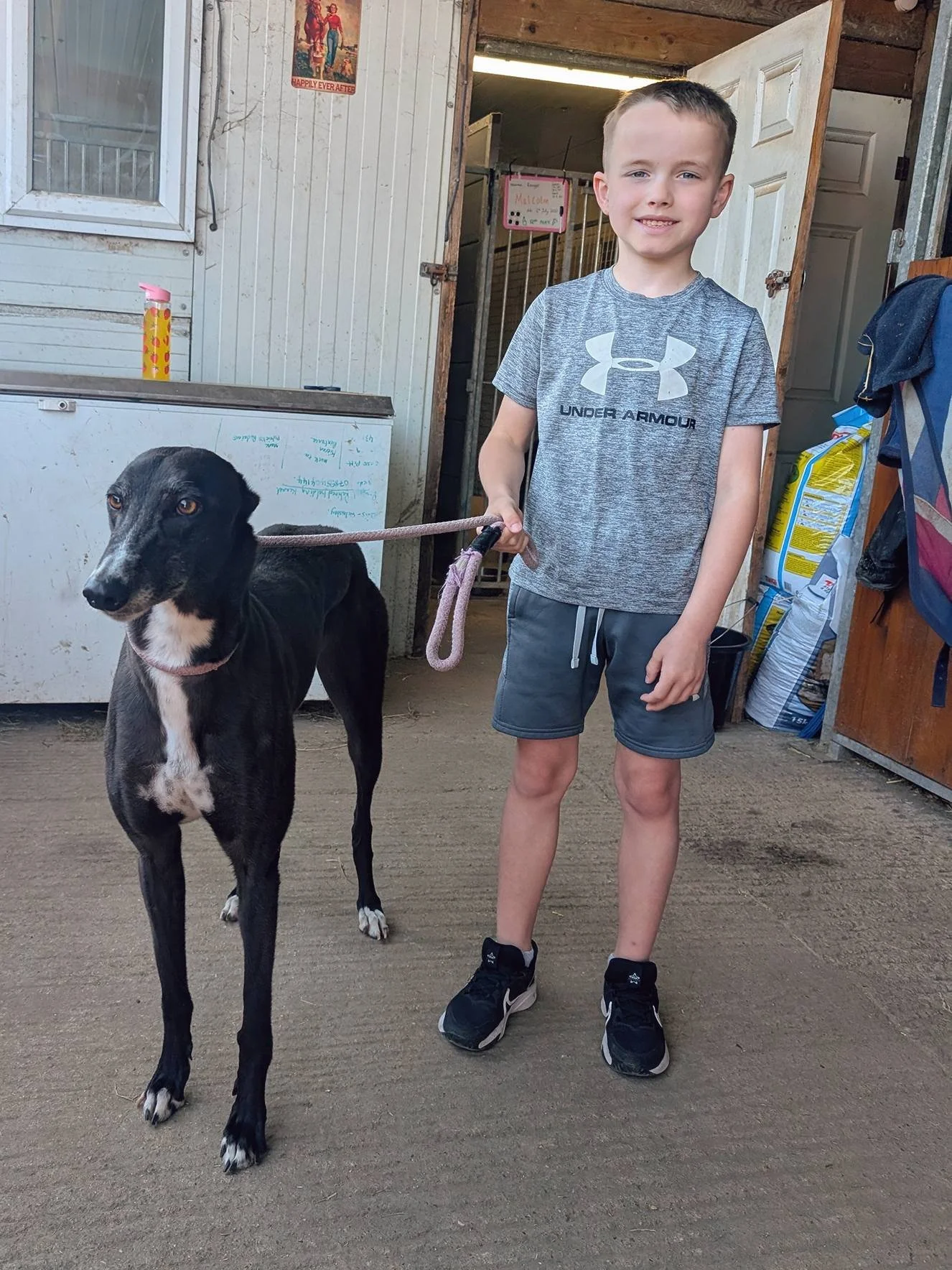 A young boy with short hair wearing a gray Under Armour t-shirt, gray shorts, and black sneakers standing inside a barn or shed, holding a leash attached to a tall, slender black and white dog.