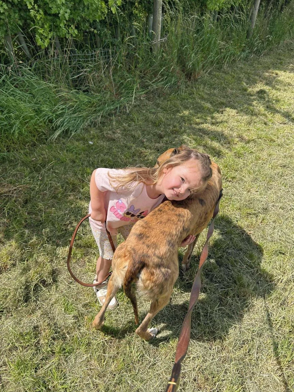 A young girl with curly blonde hair hugging a brown and black dog on a grassy area with a fence and green bushes in the background.