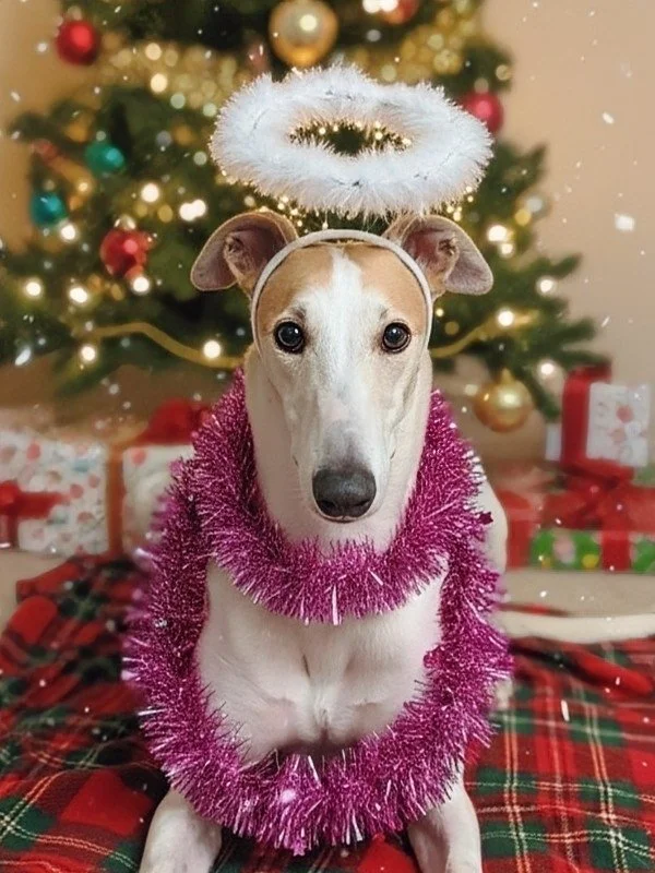 Dog wearing a pink tinsel garland around its neck and a fluffy white halo headband, sitting in front of a decorated Christmas tree with wrapped presents underneath.