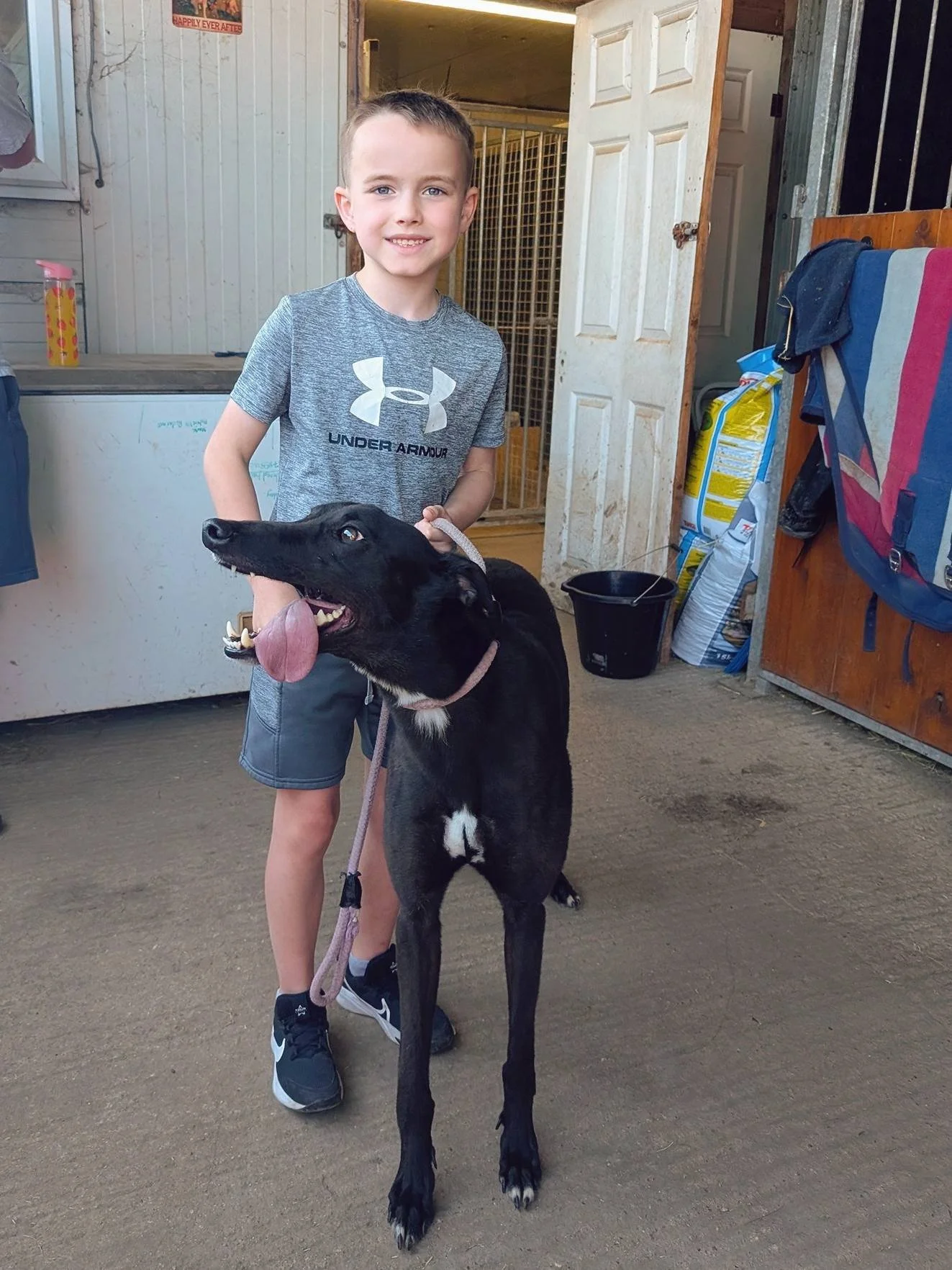 A young boy in a gray Under Armour T-shirt and shorts with sneakers, smiling, standing inside a rustic shed or barn, holding a large black dog with a white chest and paws, the dog is panting with its tongue out and appears happy.