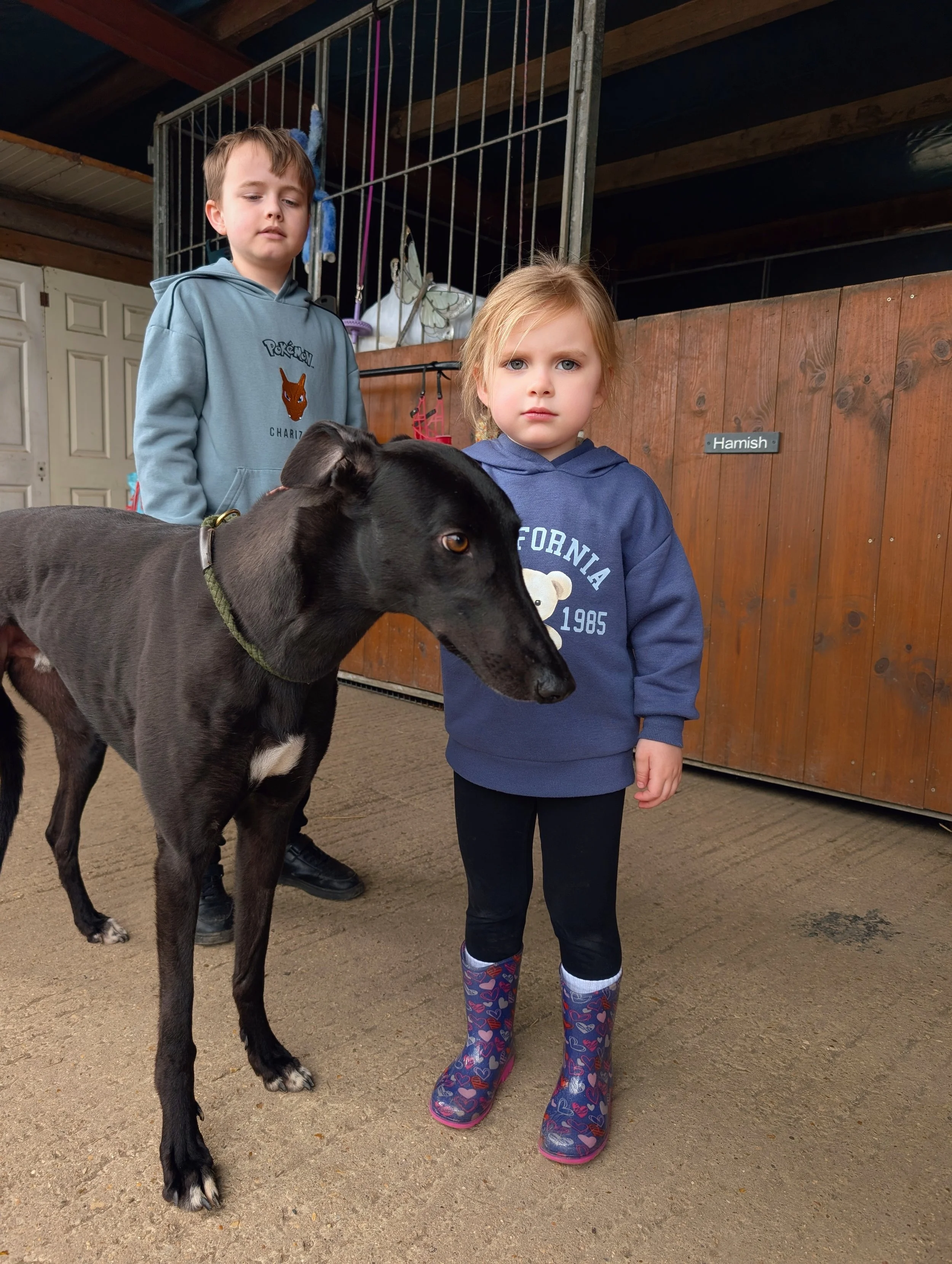 Two children, a boy and a girl, standing in front of a black dog inside a wooden animal stall. The boy is wearing a grey hoodie with a Pokémon Charizard design, and the girl is wearing a blue hoodie, black pants, and colorful rain boots. The girl has