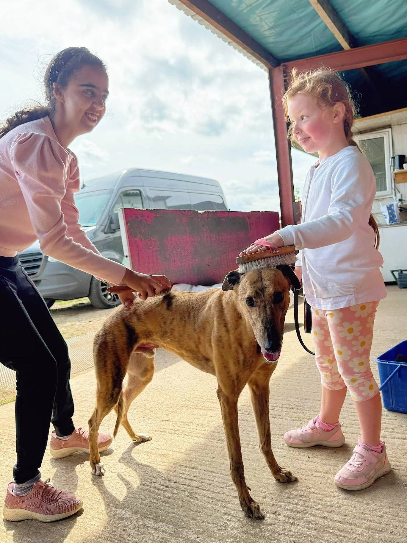 A woman and a young girl brushing a large, brown, brindle-colored dog outside in a garage or shed area. The woman is smiling, and the girl is holding a brush, gently grooming the dog.