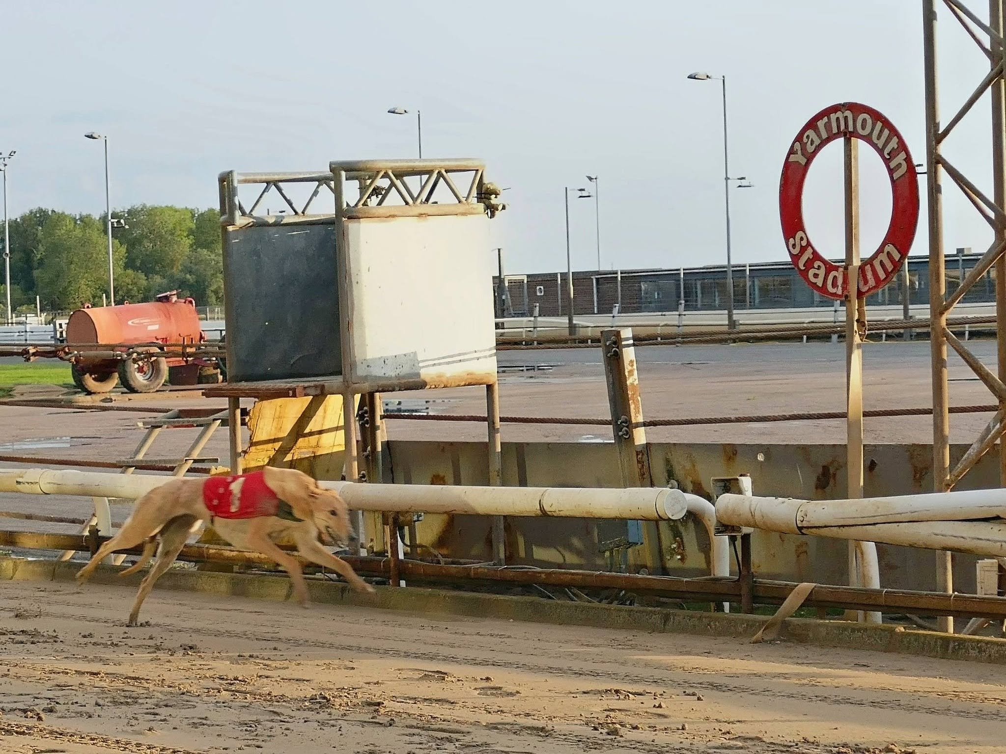 A dog running on a race track wearing a red vest, with race equipment and an armoured rescue ring in the background.