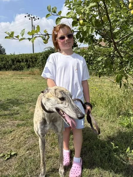 A young girl with sunglasses standing outdoors next to a grey and white dog on a leash, near a tree with green leaves and yellow fruits, with a grassy field and cloudy sky in the background.