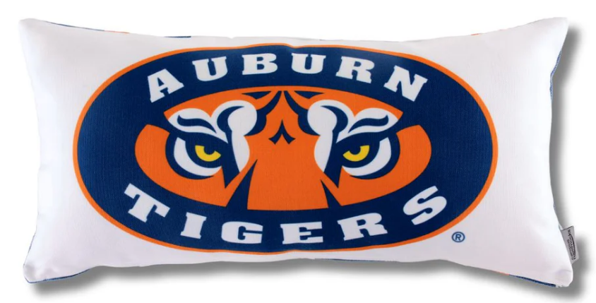 Screenshot 2026-03-03 041853.png