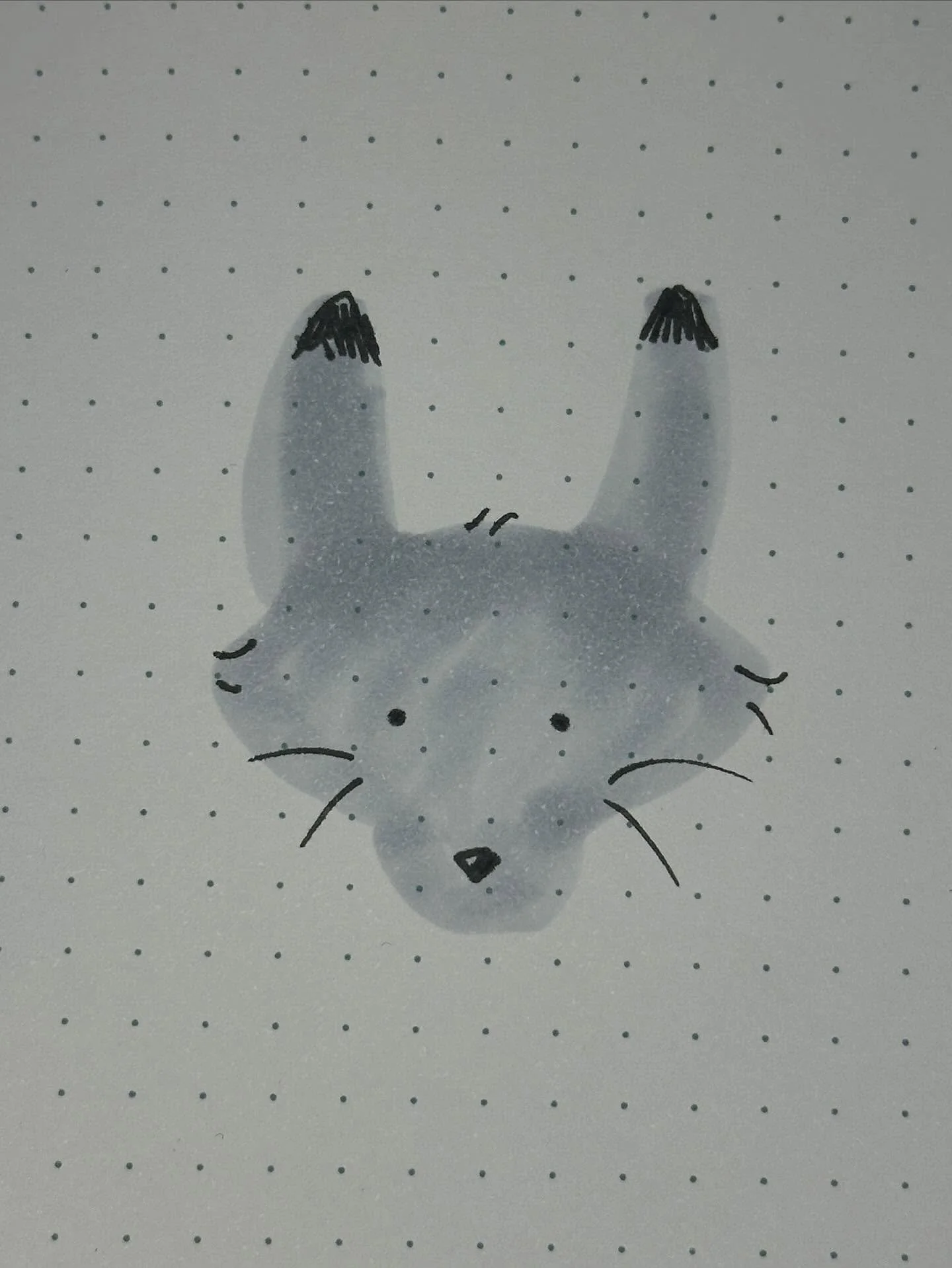 Inktober Day 19: Arctic #inktober