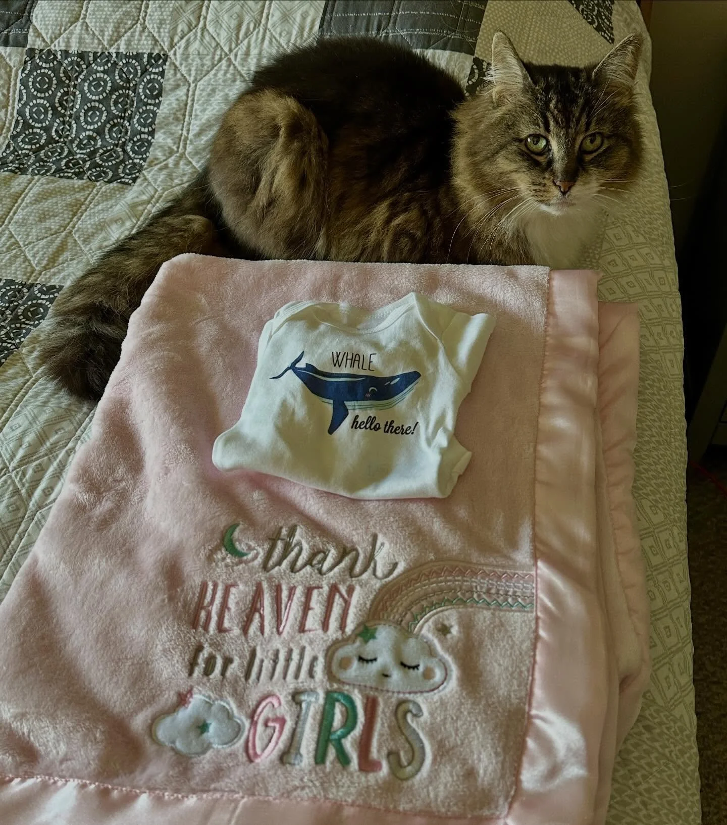 Big news! Flo is excited there will be another girl around in the fall!! 💜#baby