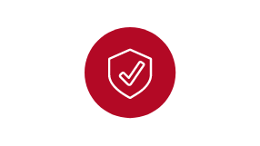 icono-seguridad.png.ximg.l_3_h.smart.png