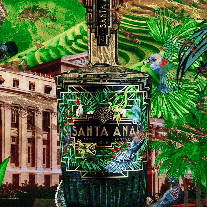 Santa Ana Gin
