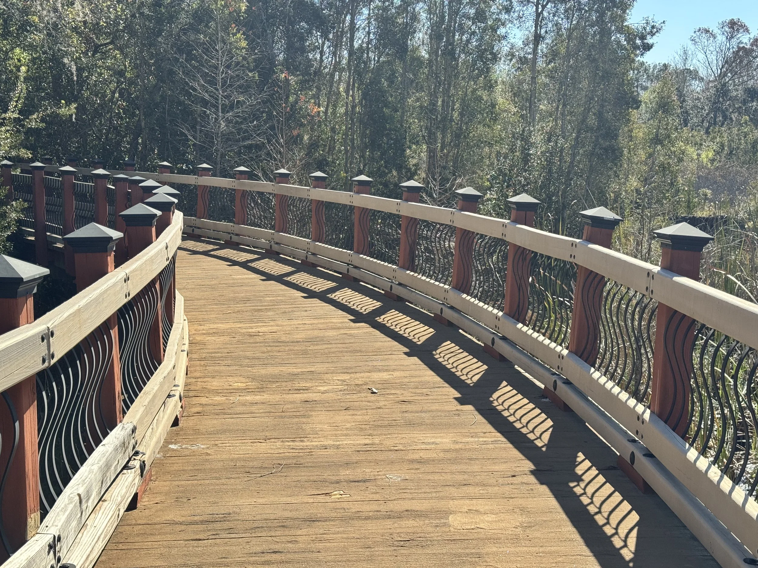 forest walkway, wooden boardwalk, raised walkway, wood bridge, timber bridge construction