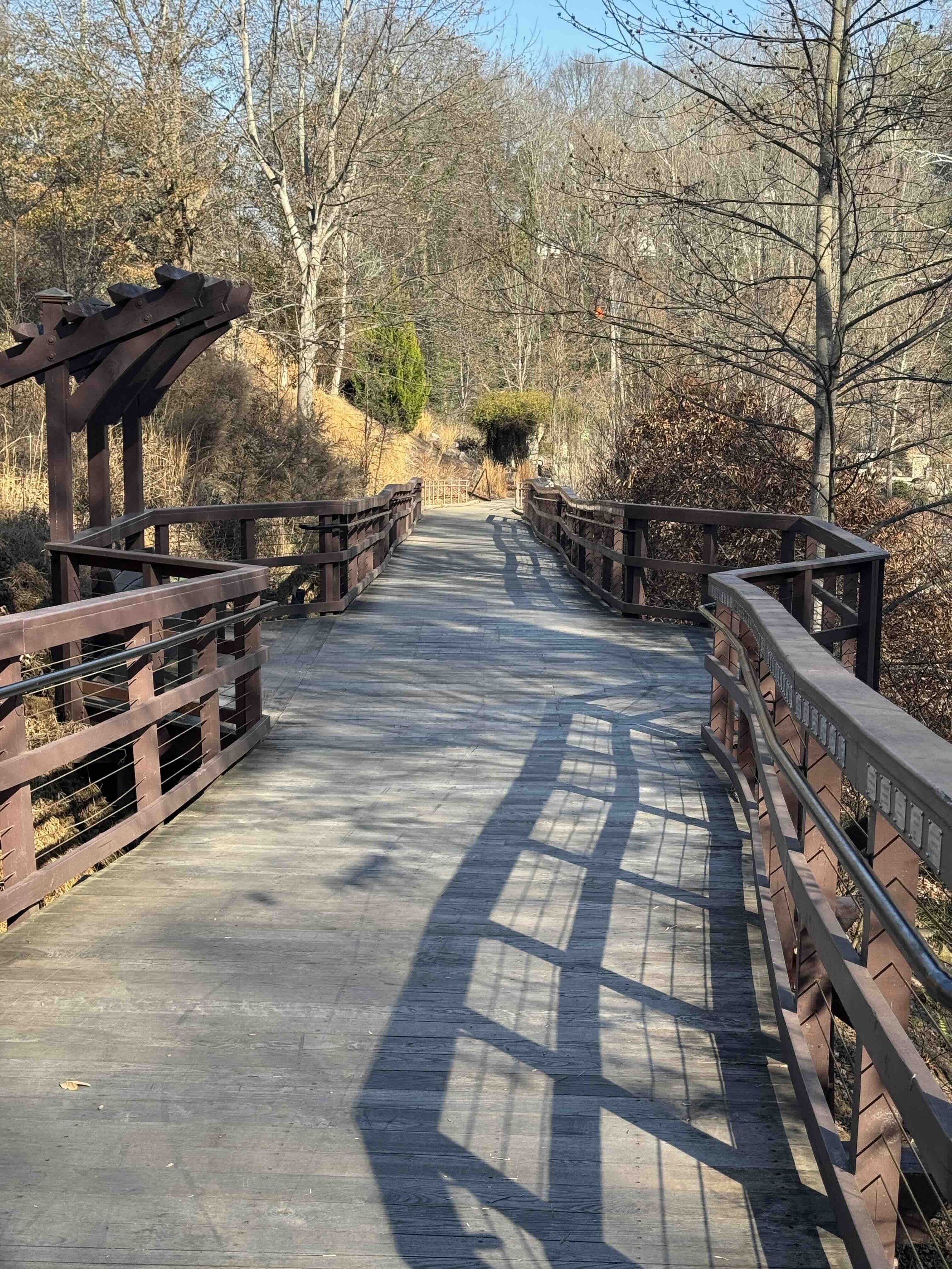 nature park wooden boardwalk, pedestrian bridge scenery