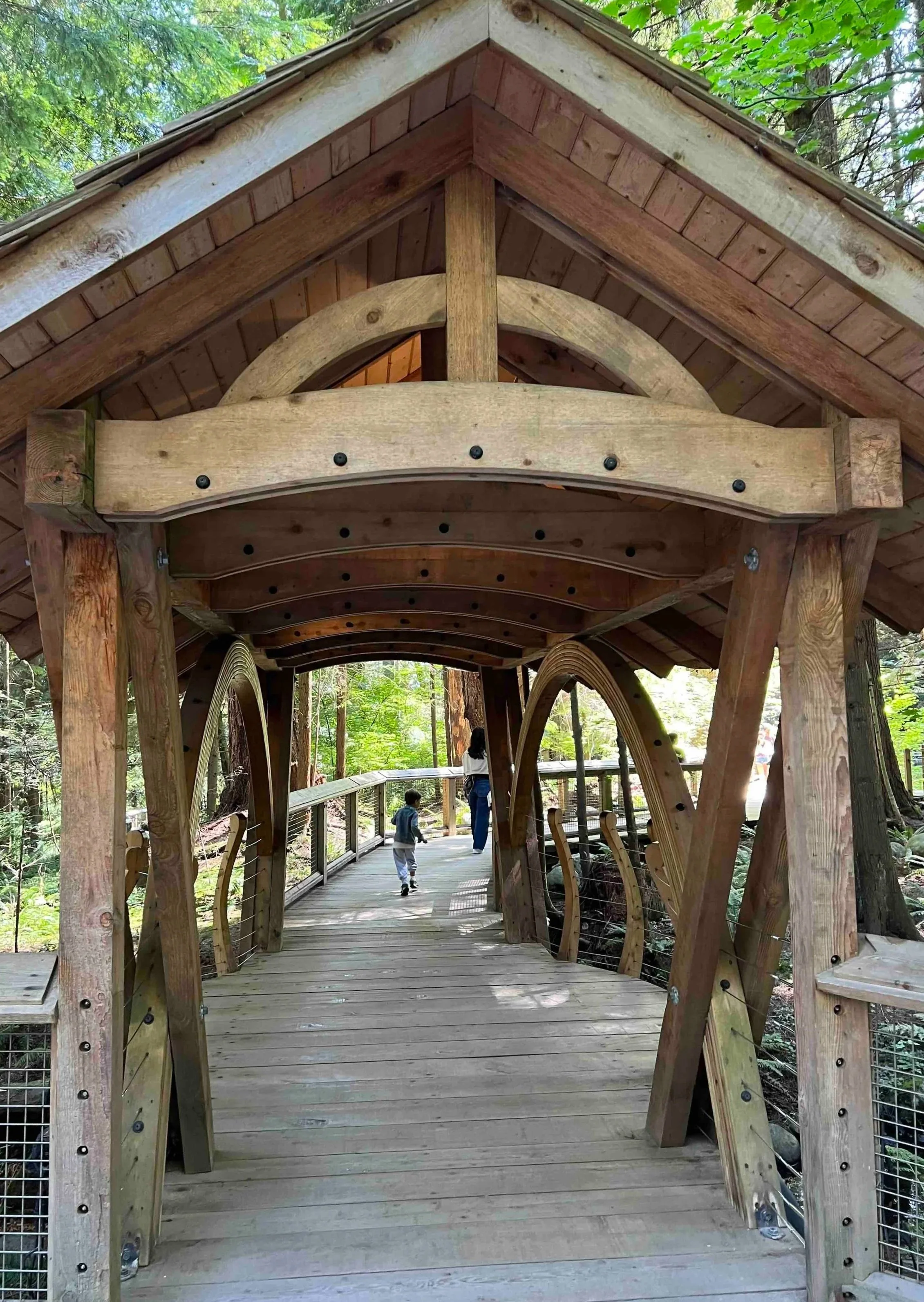 covered wood pedestrian bridge, timber bridge construction