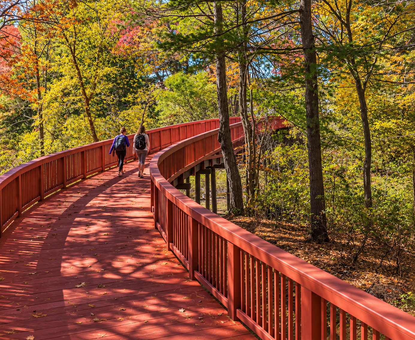 Pedestrian Bridge Design