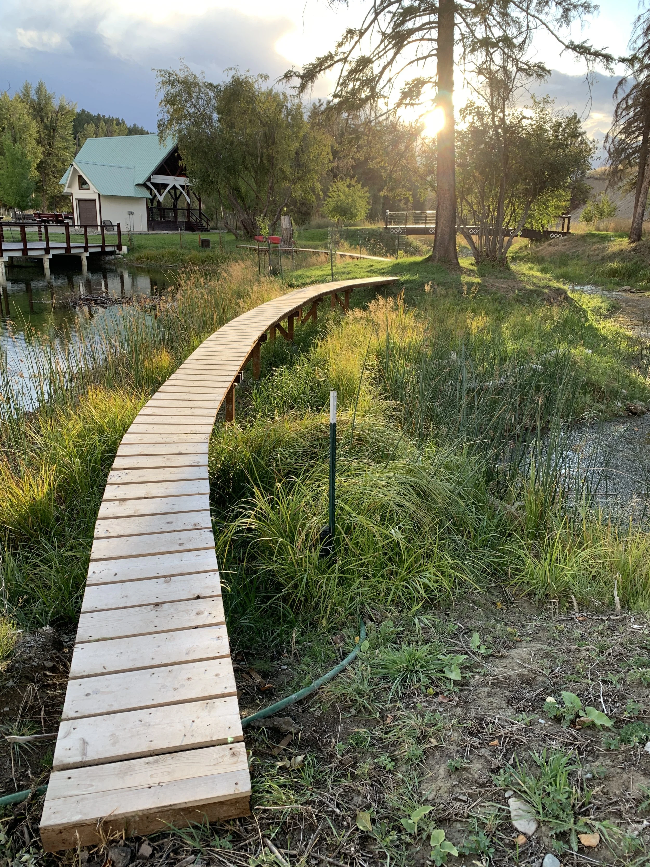 small timber catwalk in wetlands, pedestrian bridge