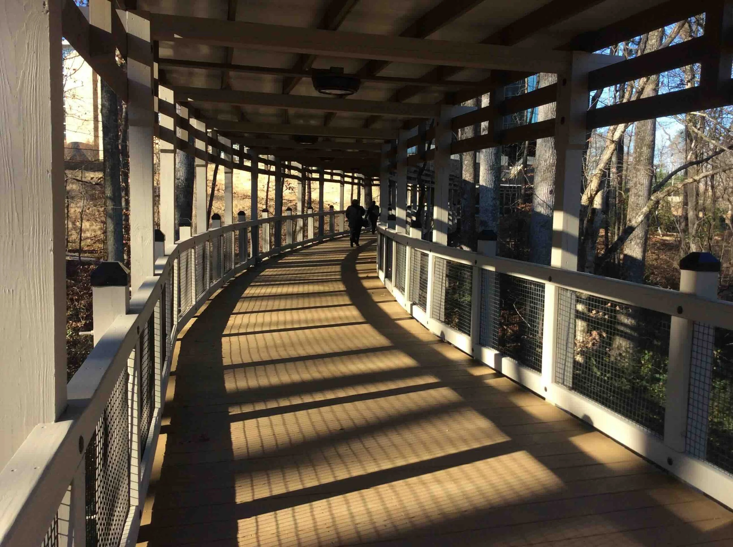 closeup scene of a covered walkway, wood pedestrian bridge
