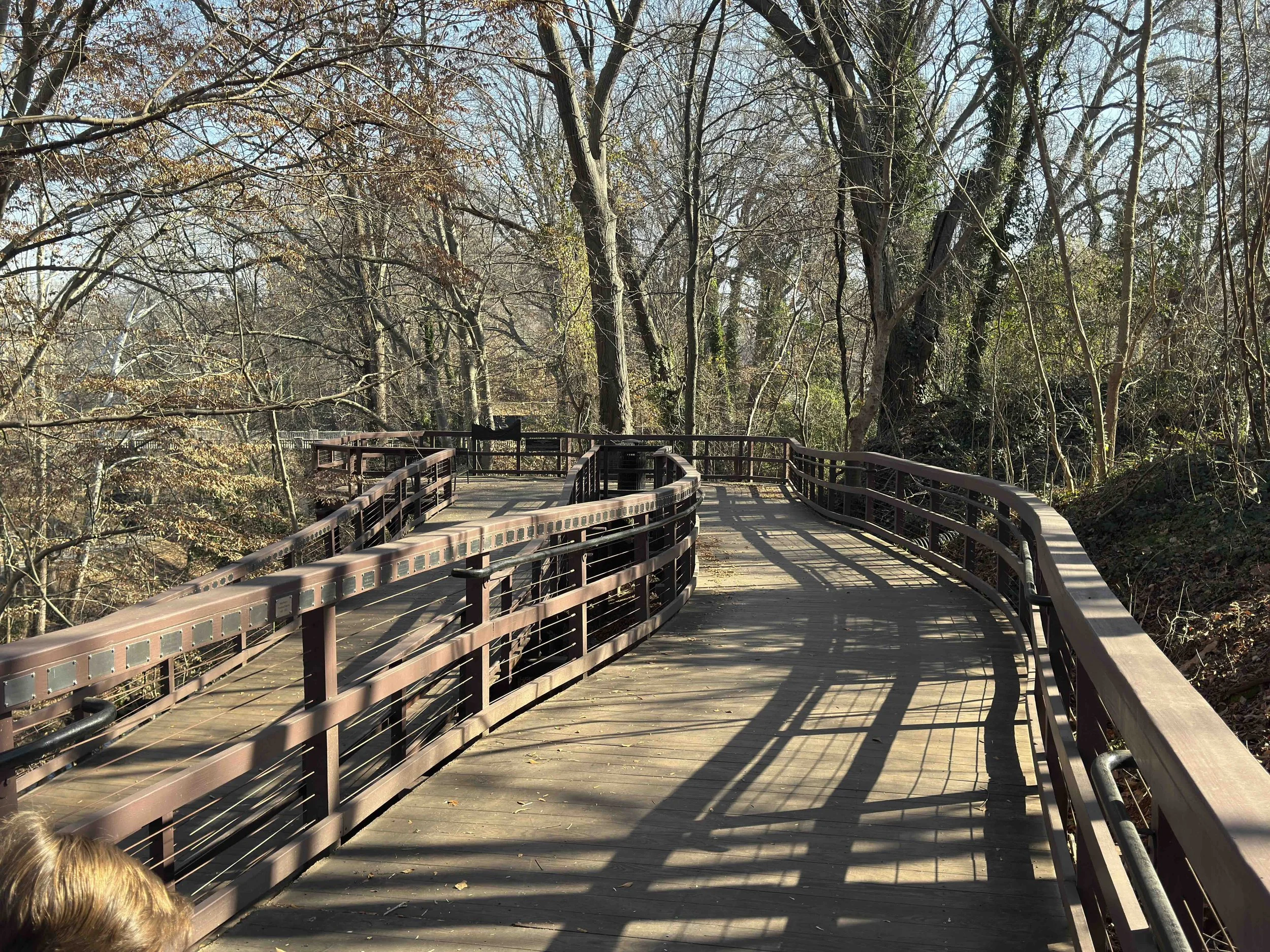 wood walkway in forest, timber bridge construction company