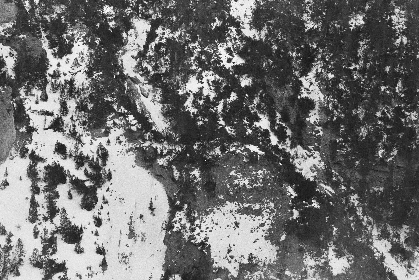 29A_01248.jpg