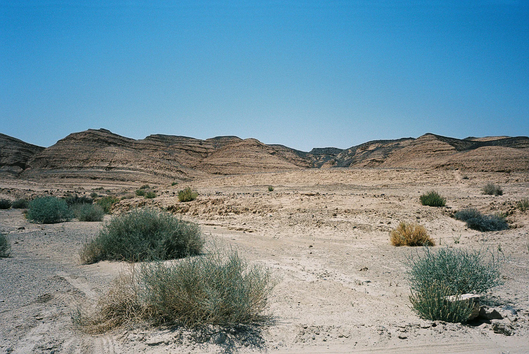 F1100010.jpg