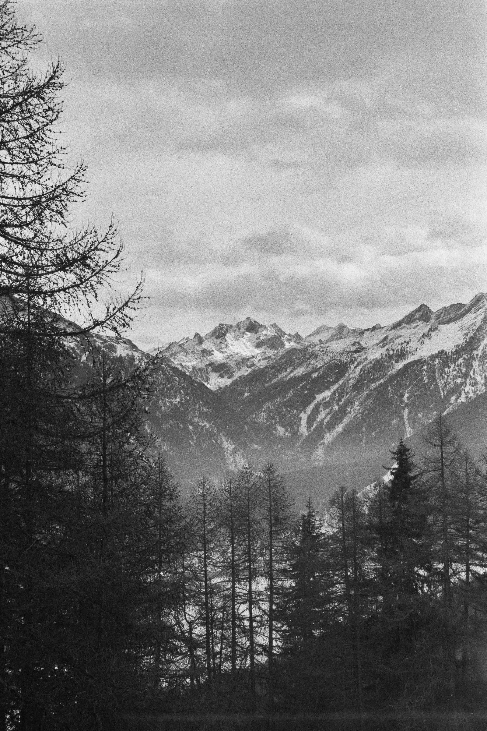 __2_01295.jpg