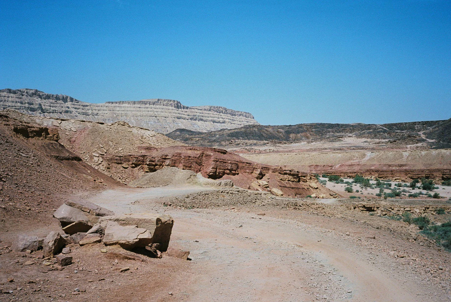 F1100014.jpg