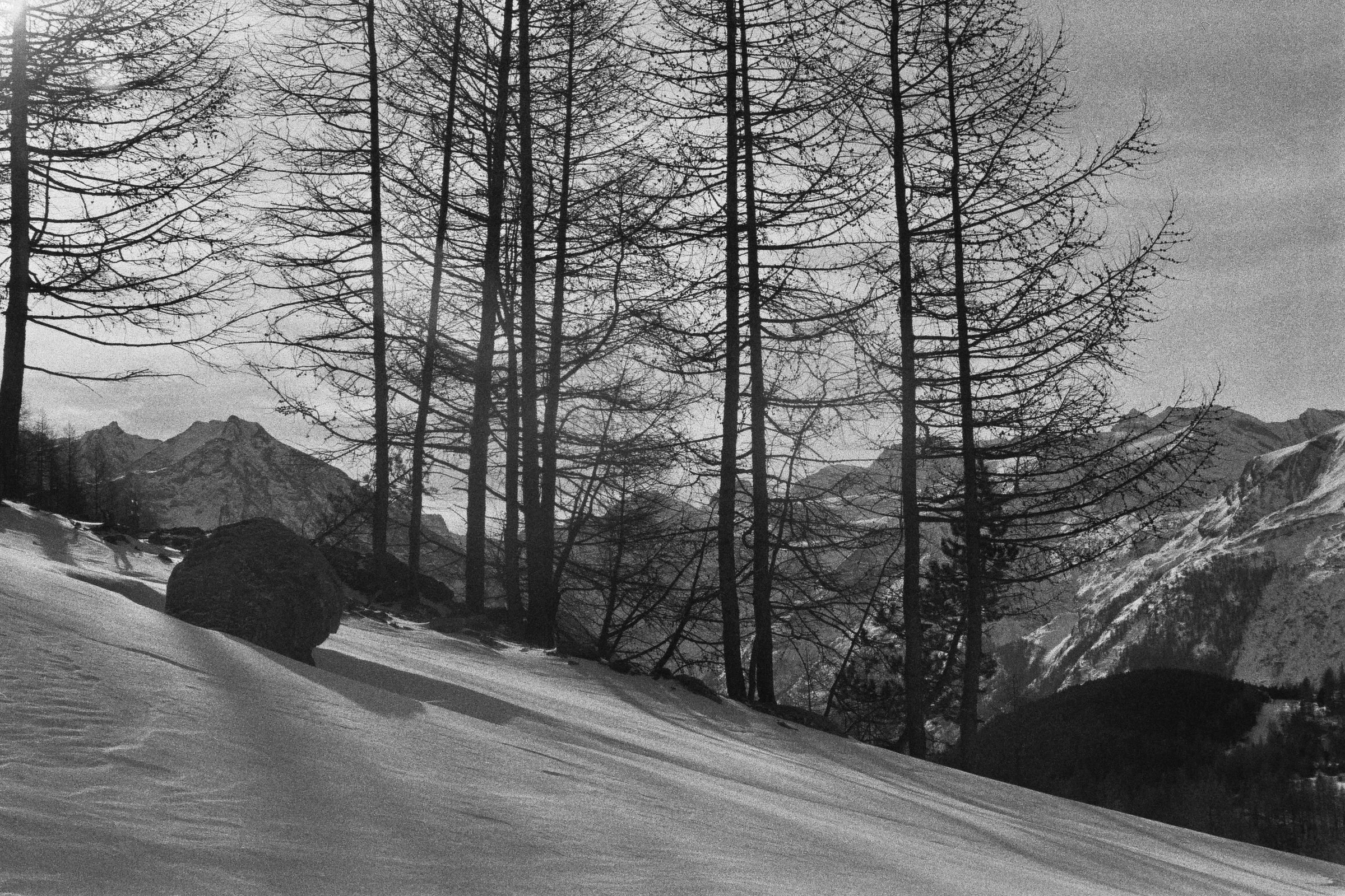 _14_01269.jpg
