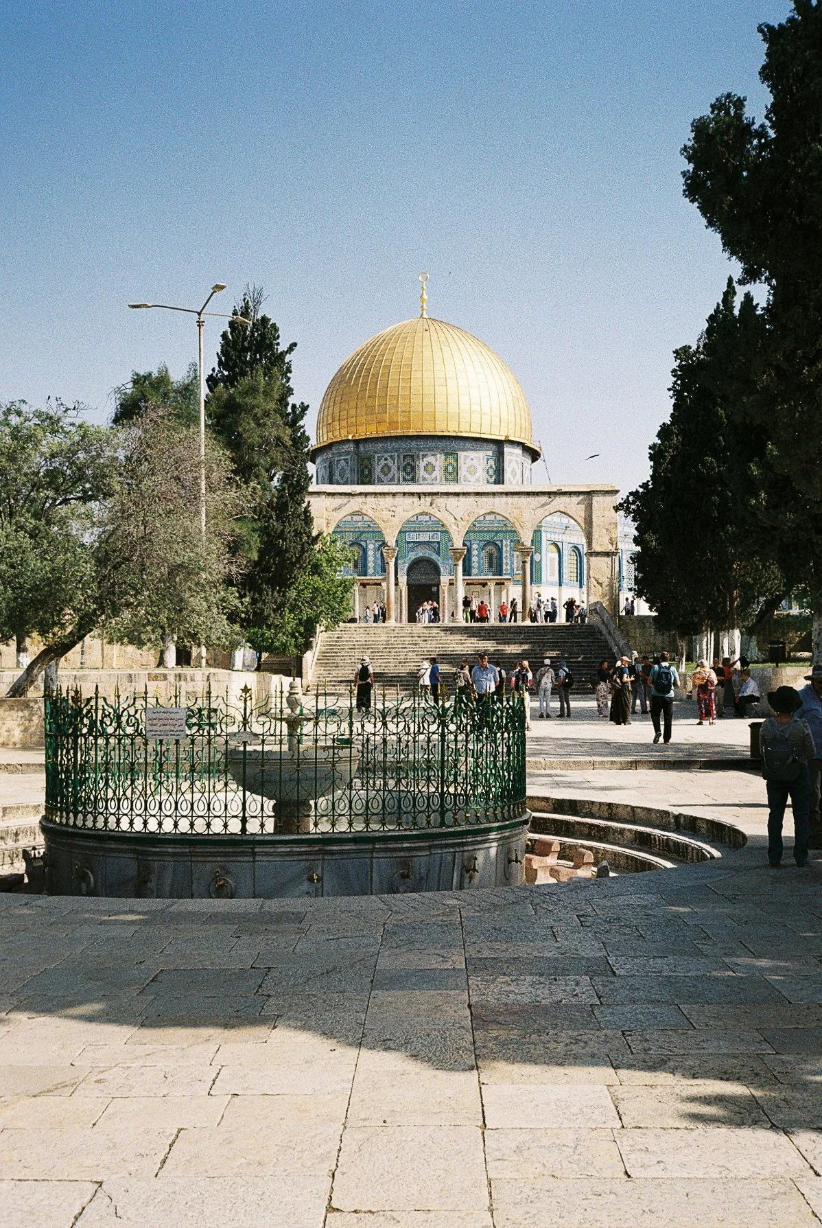 F1110019.jpg
