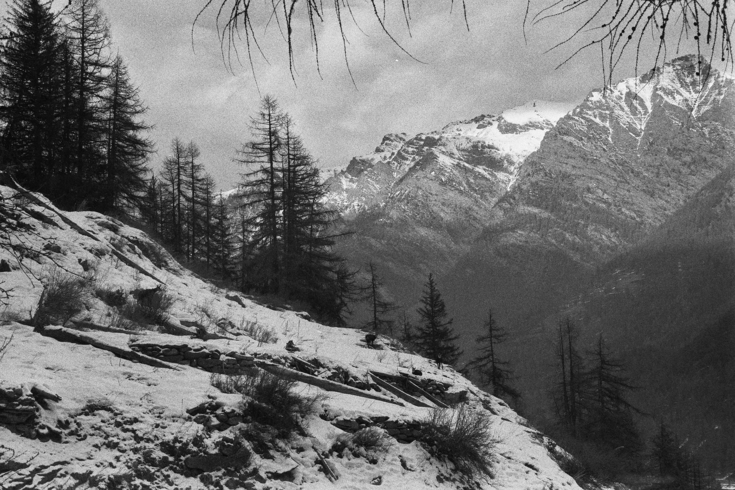 __3_01296.jpg
