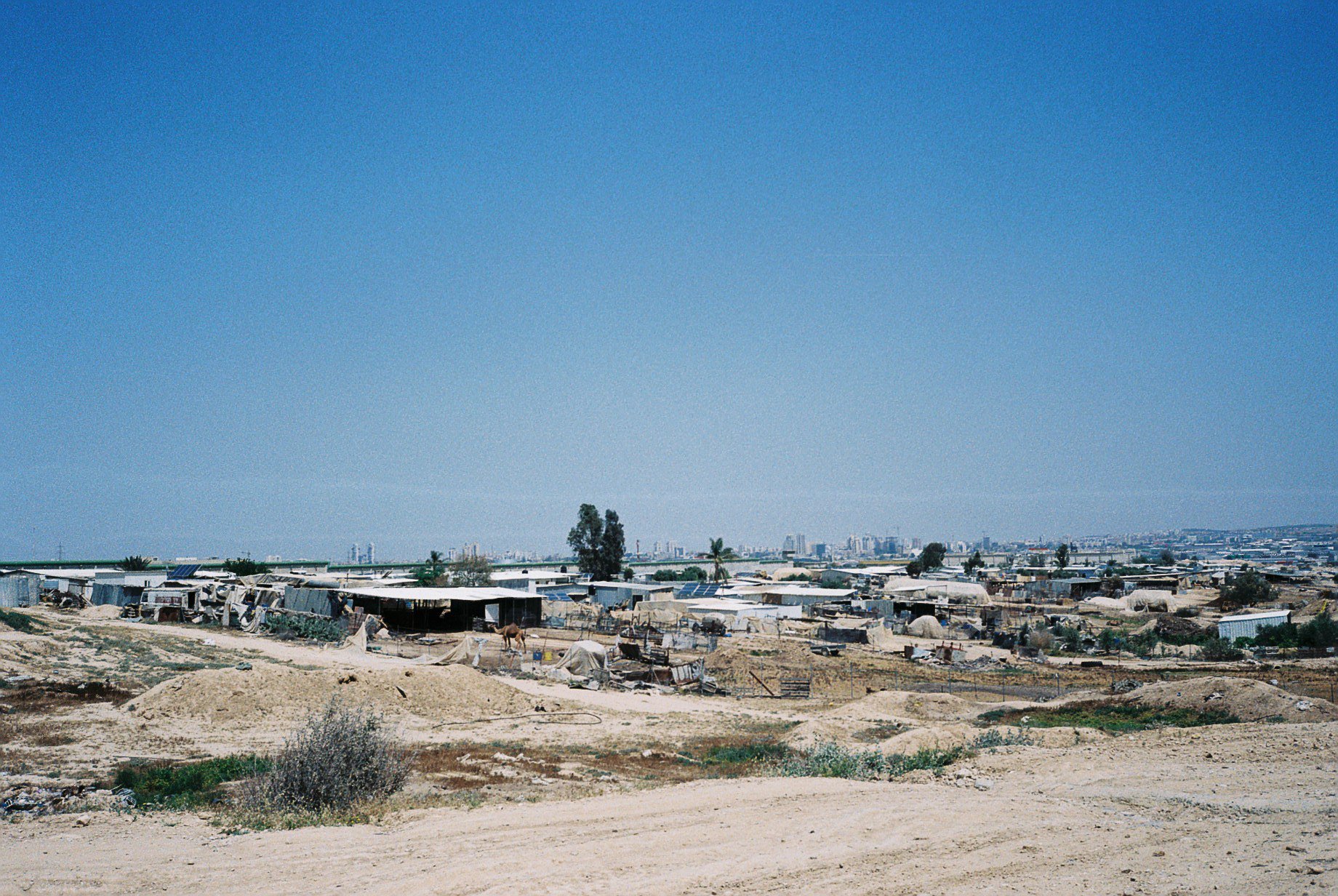 F1090035.jpg