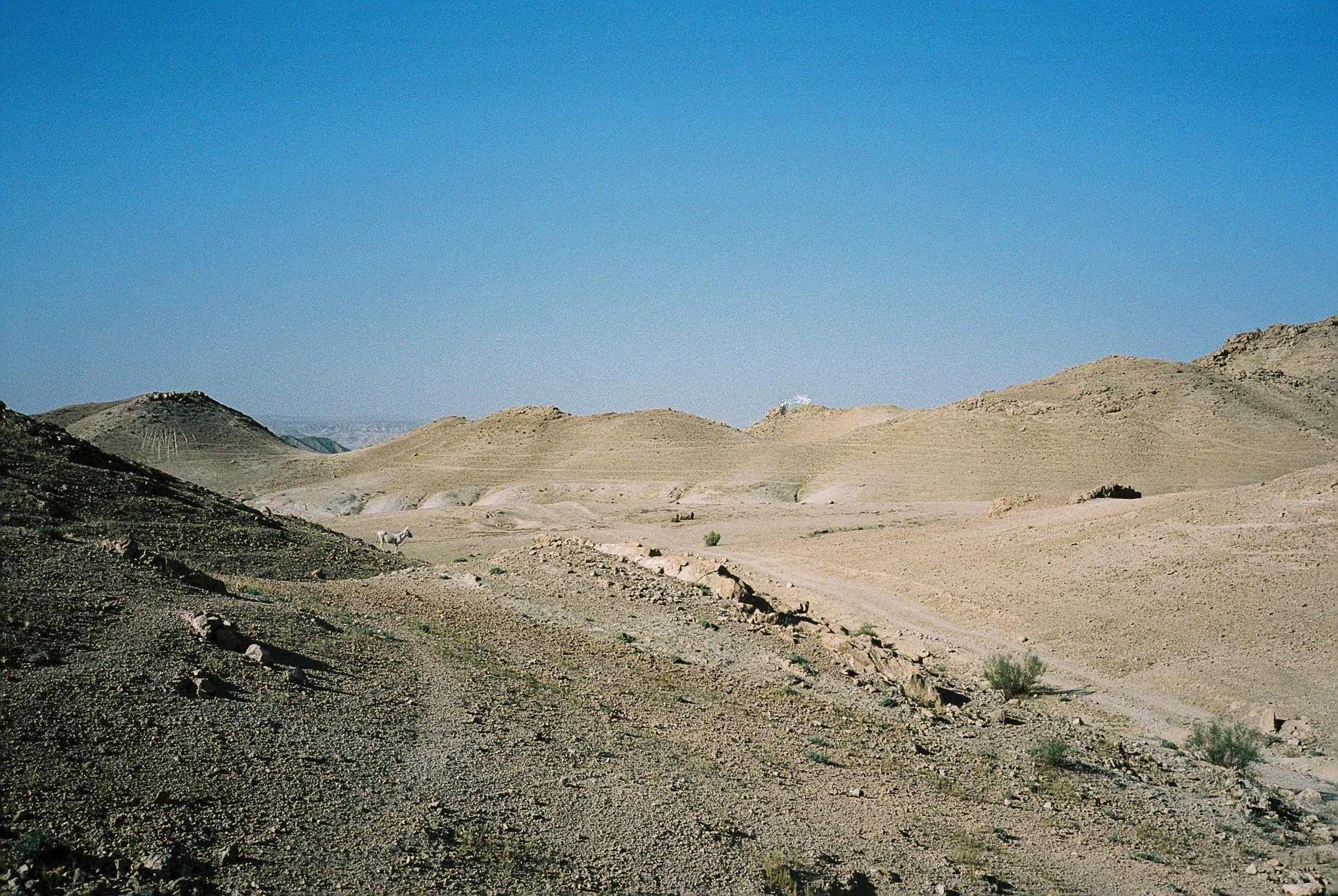 F1050008.jpg