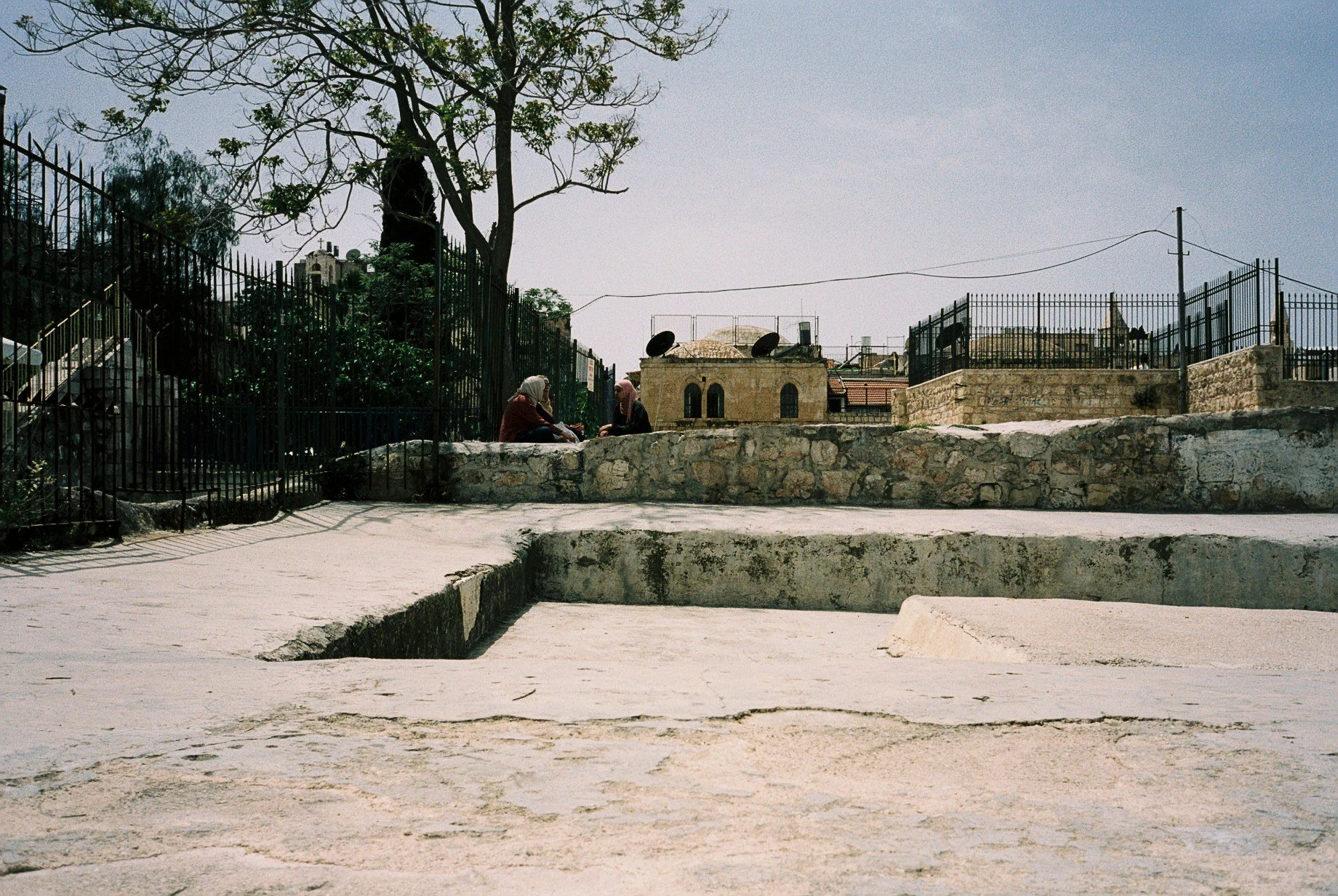 F1060001.jpg