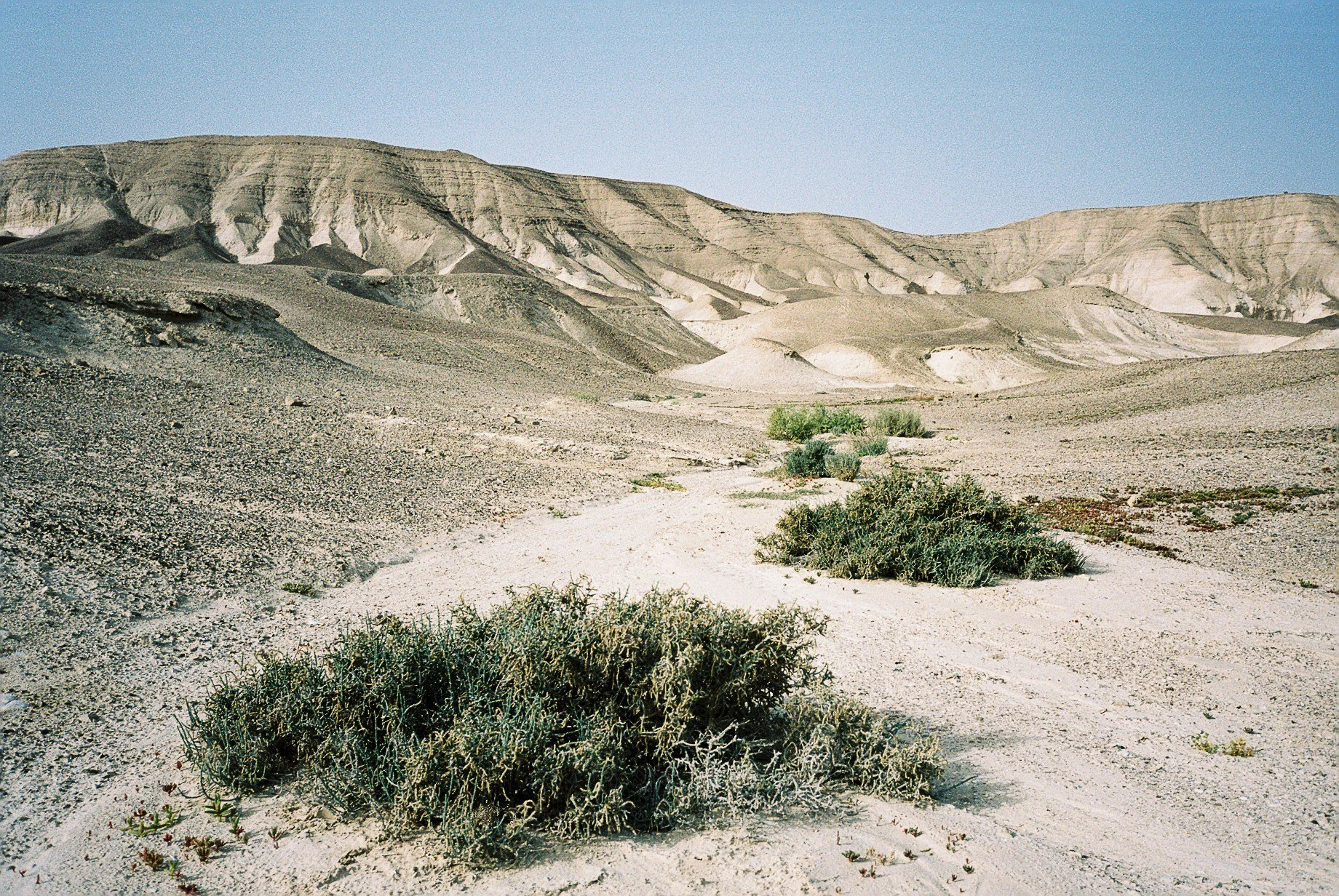 F1050033.jpg