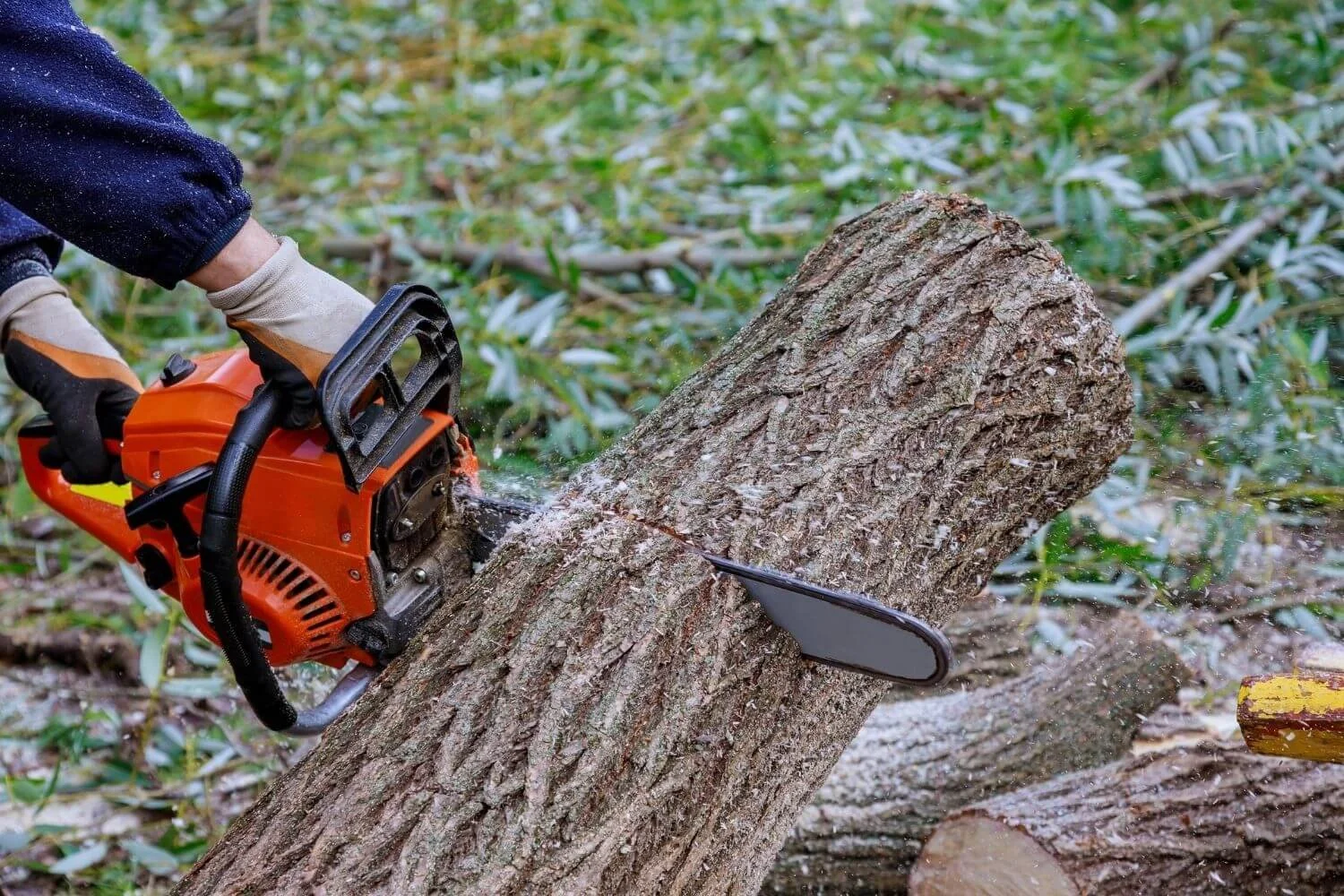 How To Find Tree Cutting Services You Can Count On