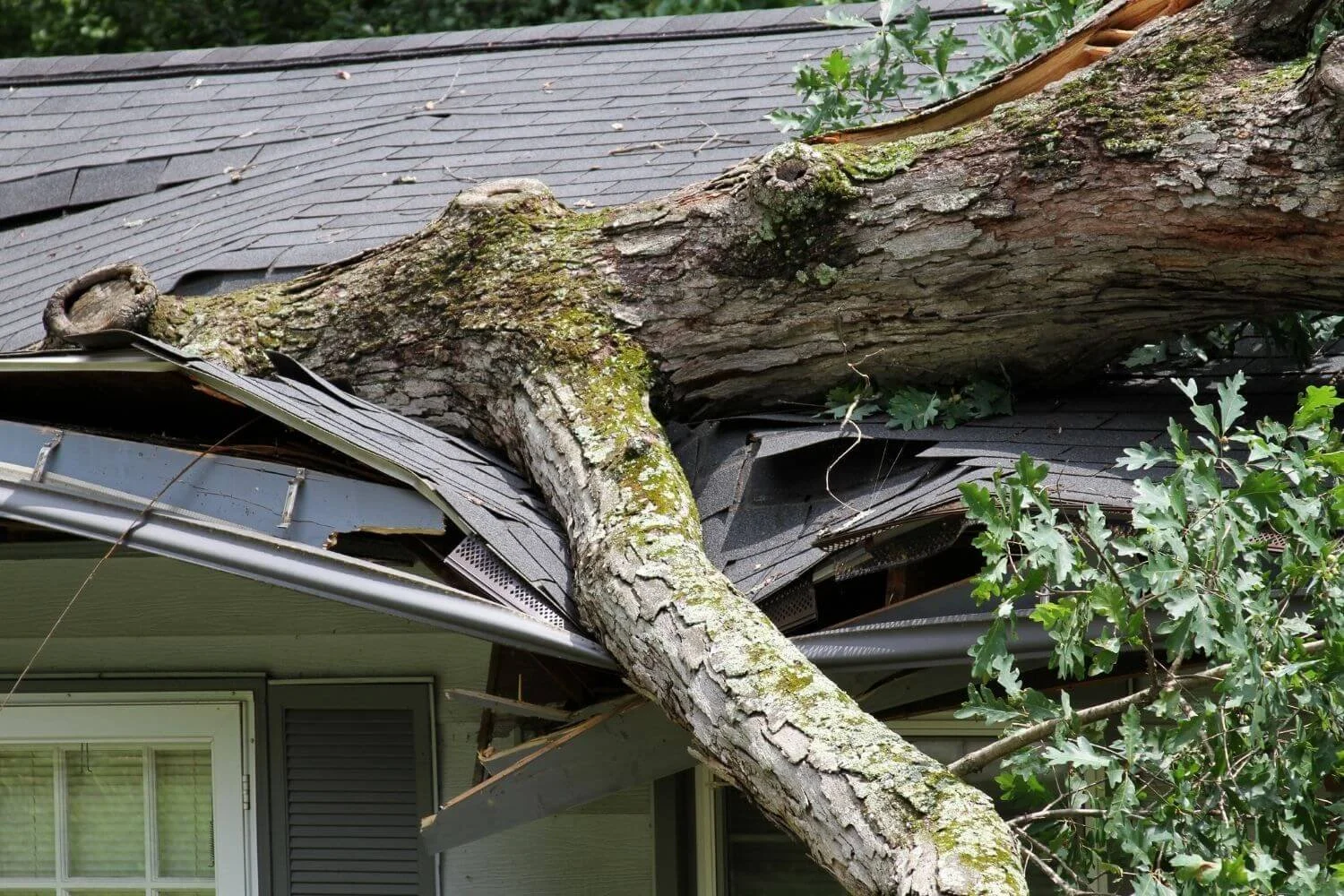 Storm Damage Cleanup: Why Acting Fast Protects Your Home and Family