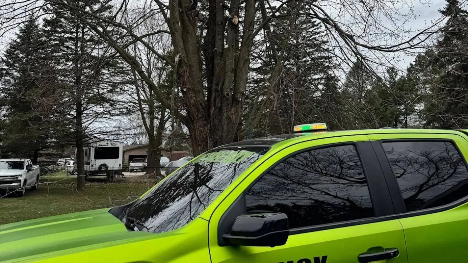 What Happens When You Call Trumpp Tree Service.jpg