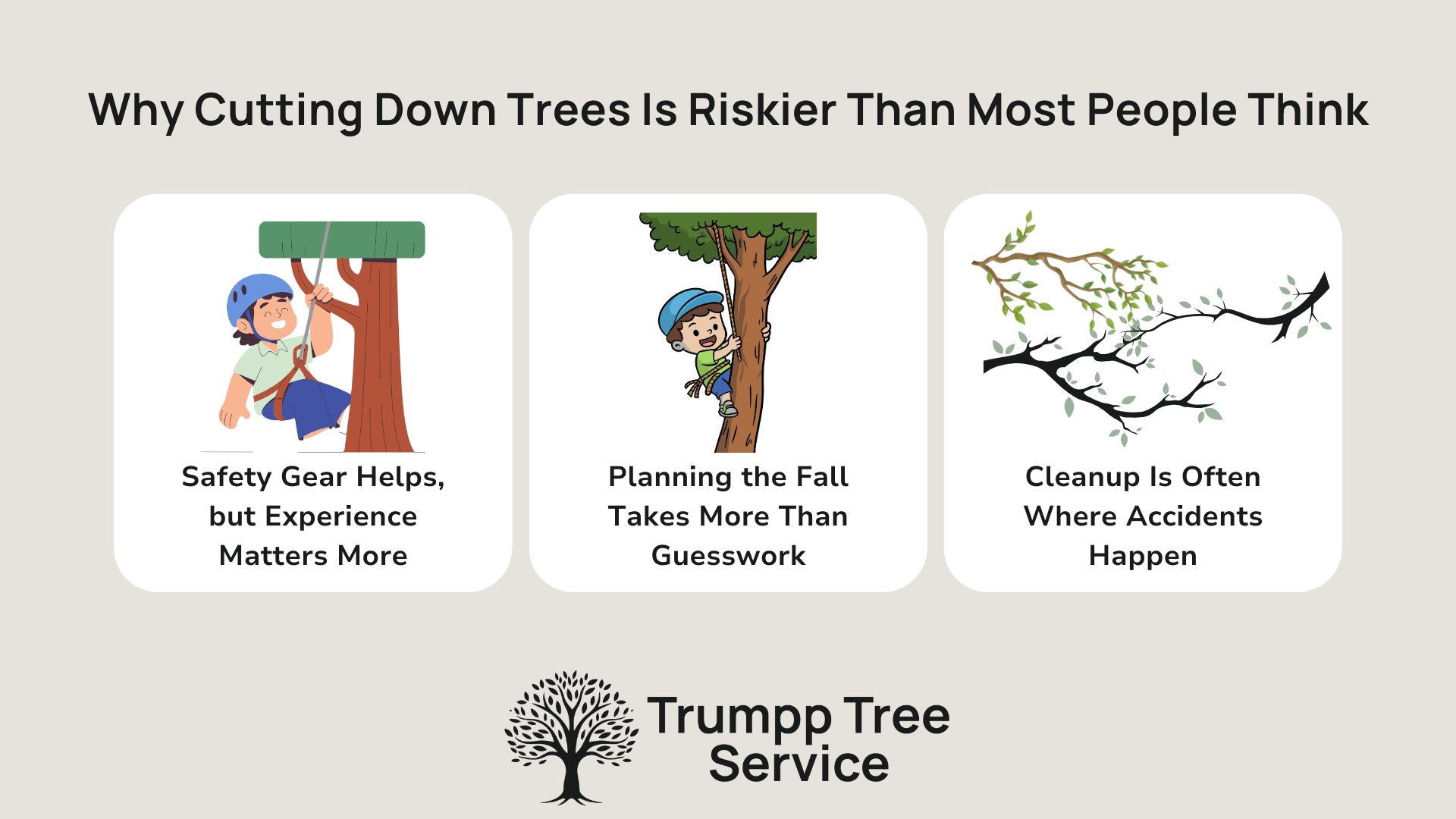 Why Cutting Down Trees Is Riskier Than Most People Think