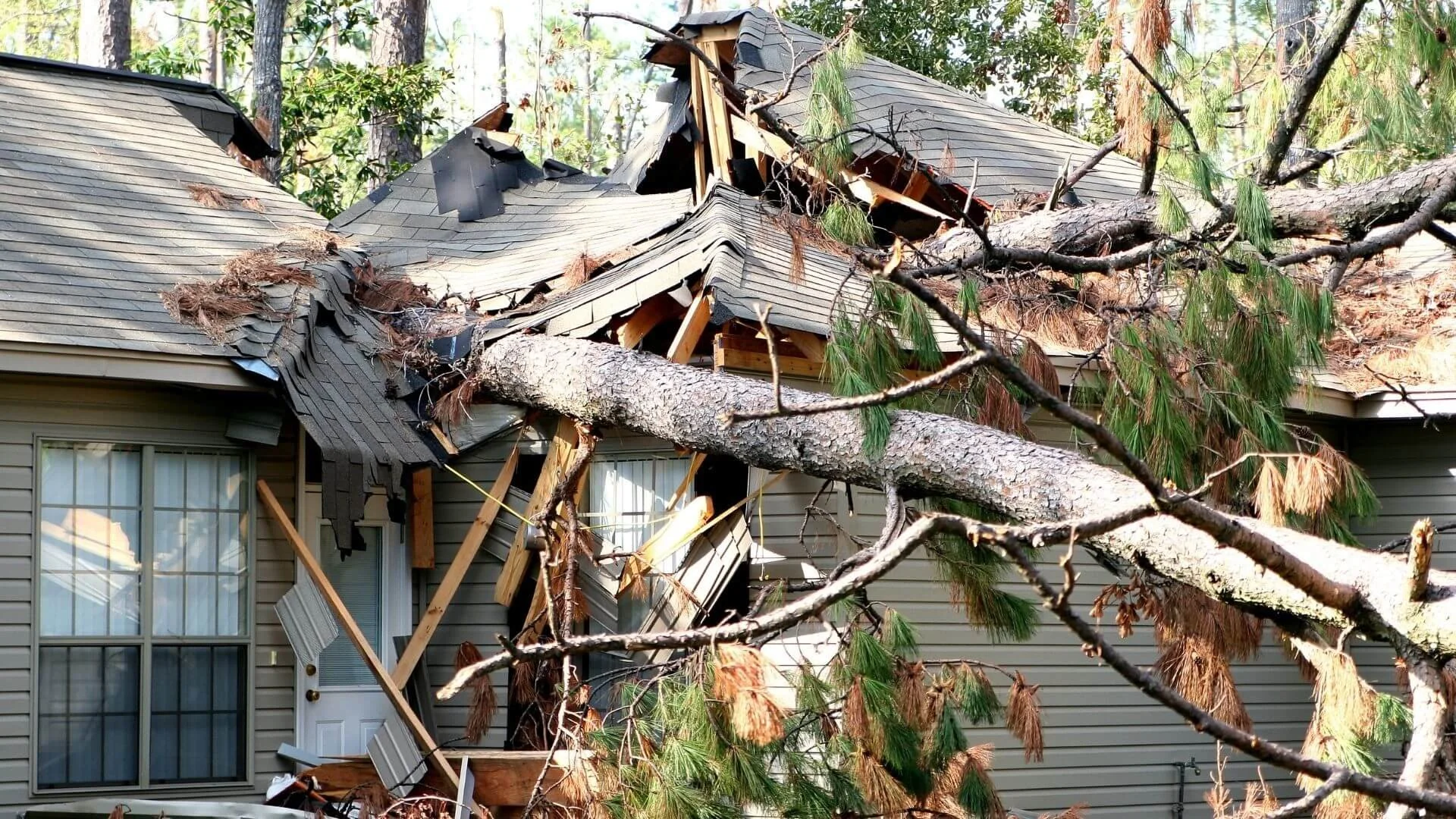 a tree on top of a roof that's destroyed