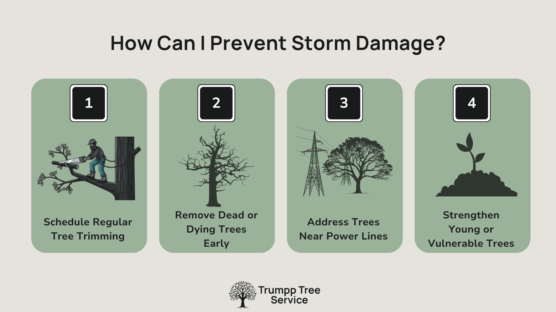 graphic showing the tips for preventing storm damage