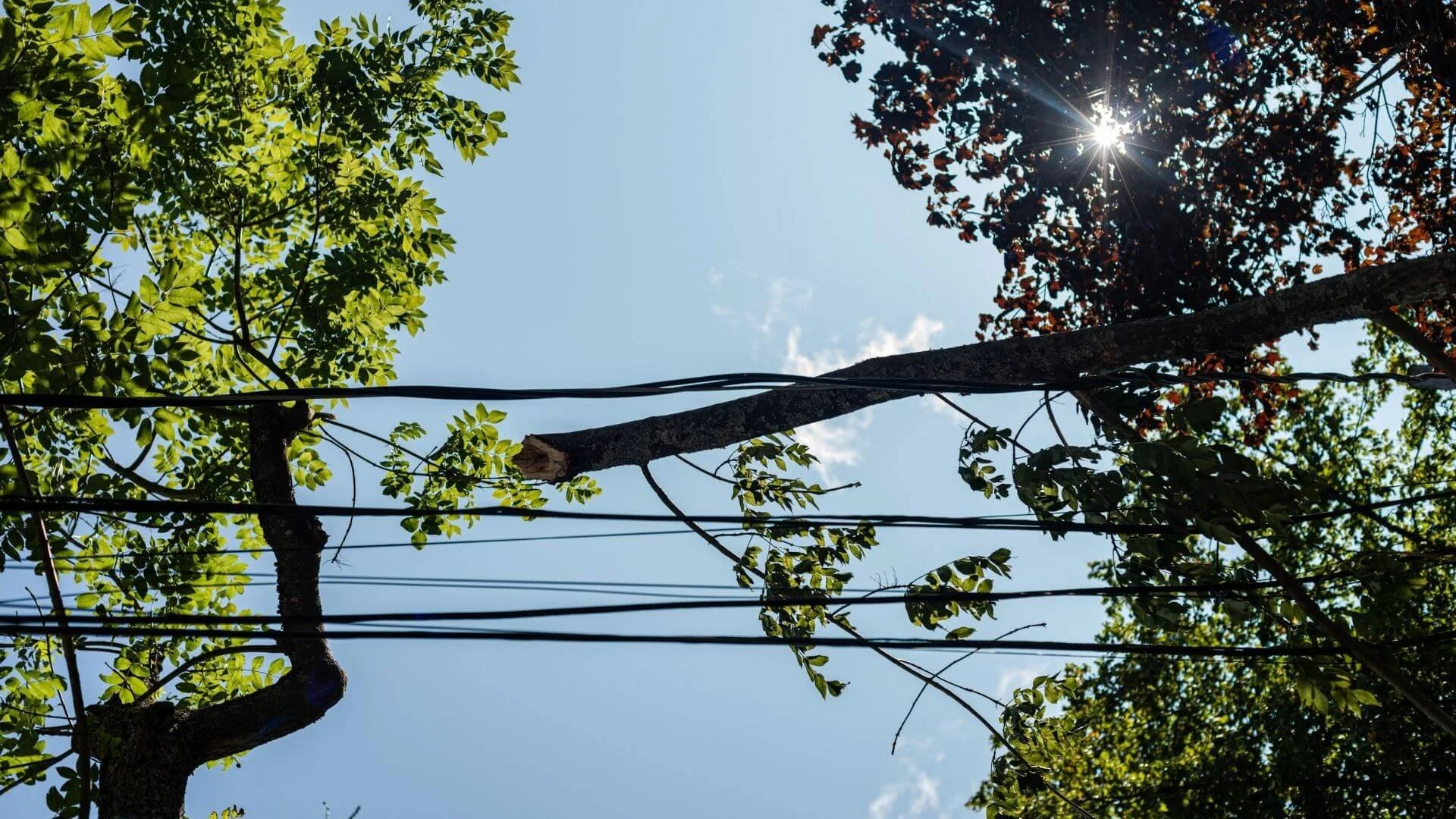 When It’s Time to Call a Professional.jpg