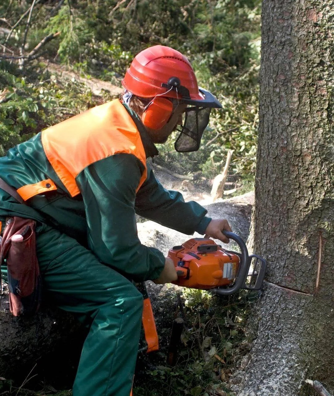 A worker wearing safety gear cuts a tree trunk with a chainsaw in a forest.